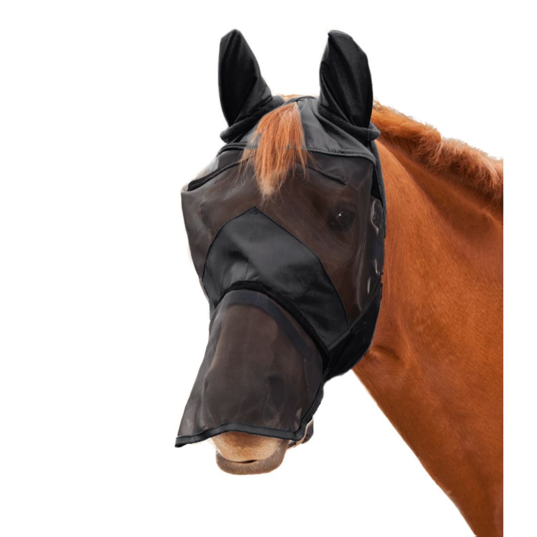 Schwarze Fliegenmaske mit Ohrenschutz am Pferdekopf. Netzstoff im Gesichtsbereich, verlängerter Nasenschutz.