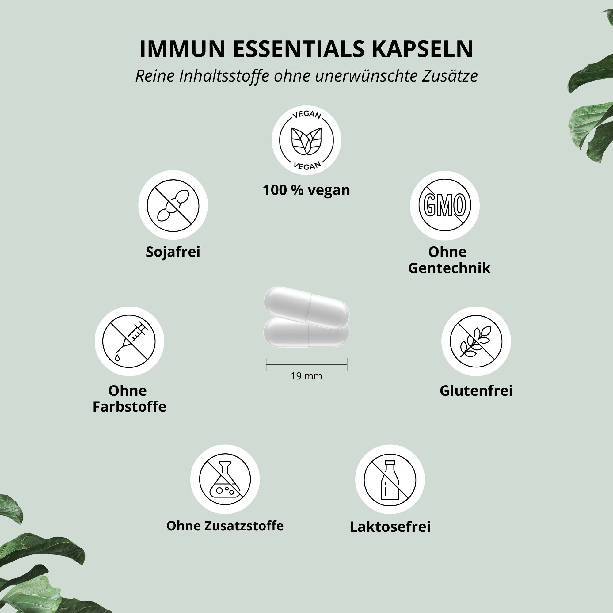 nutri+ Immun Essentials