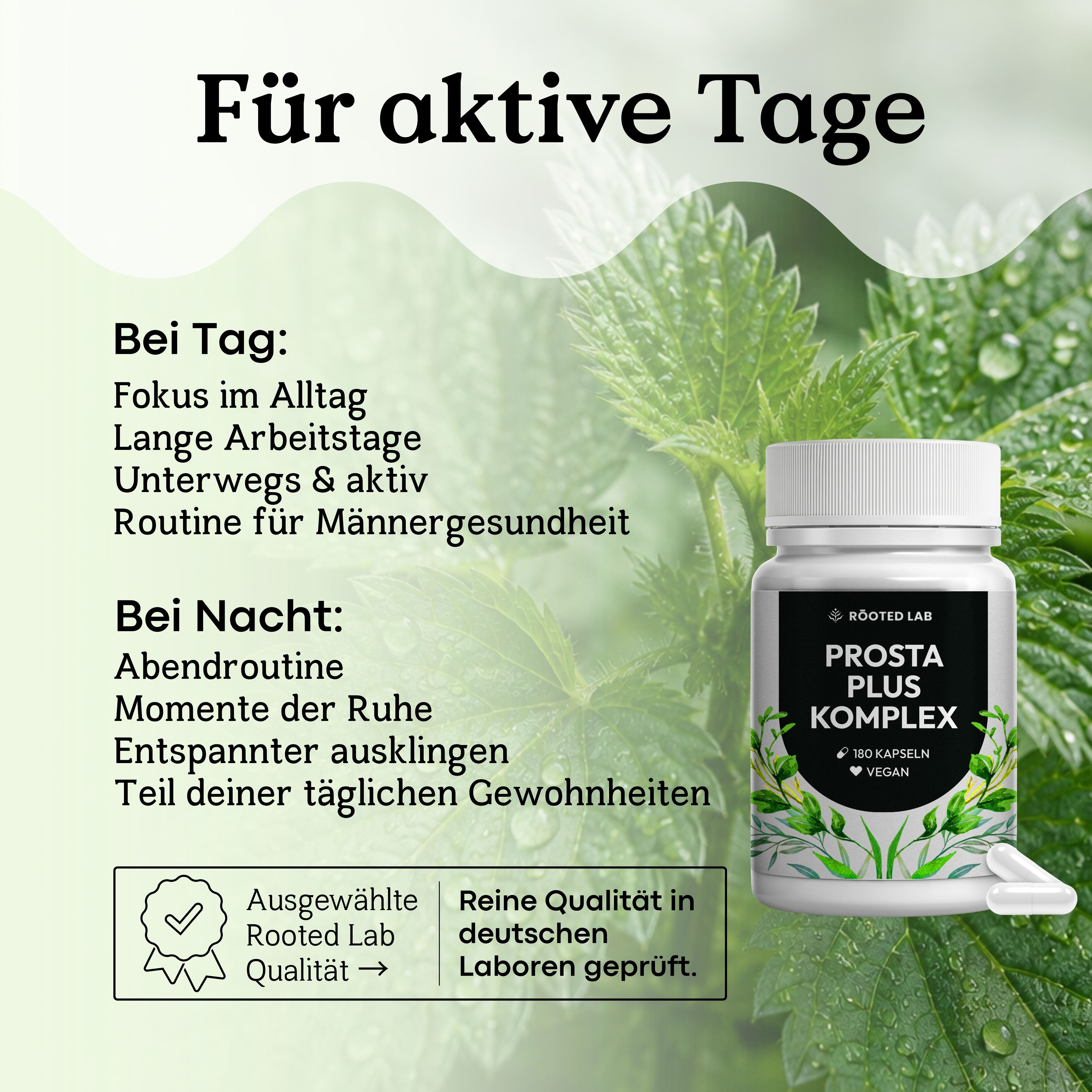 Flasche mit Prostata Plus Komplex Kapseln vor Brennnesselmotiv. Text: Für aktive Tage.