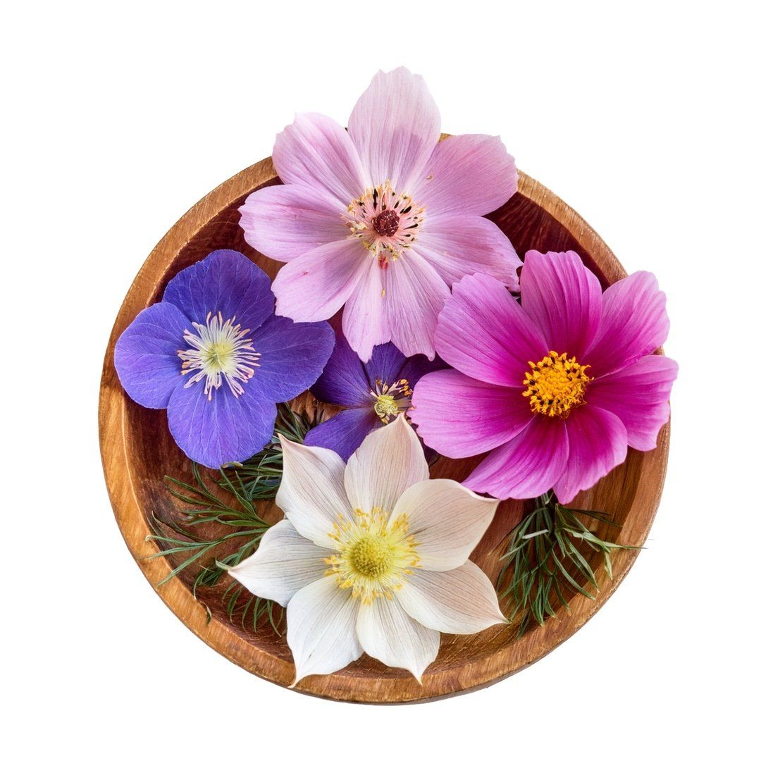 Holzschale mit Blüten. Verschiedene Blüten in einer runden Holzschale. Farben: rosa, lila, weiß, blau.