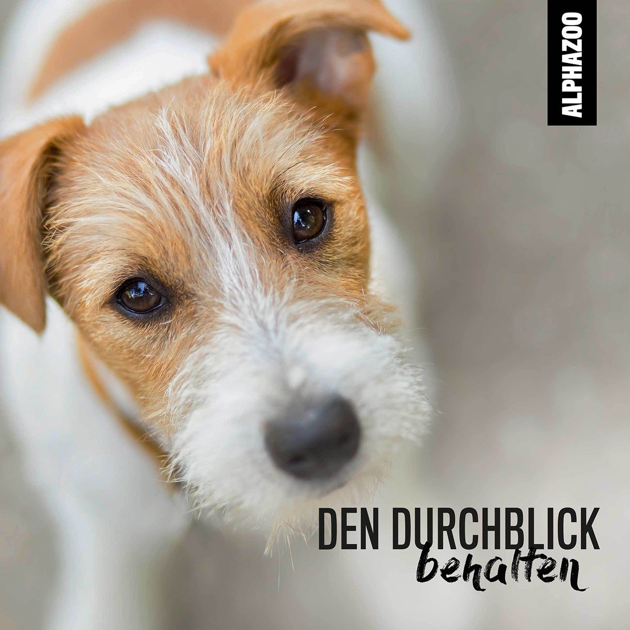 Nahaufnahme eines Hundes. Text: Den Durchblick behalten. AlphaZoo Logo.