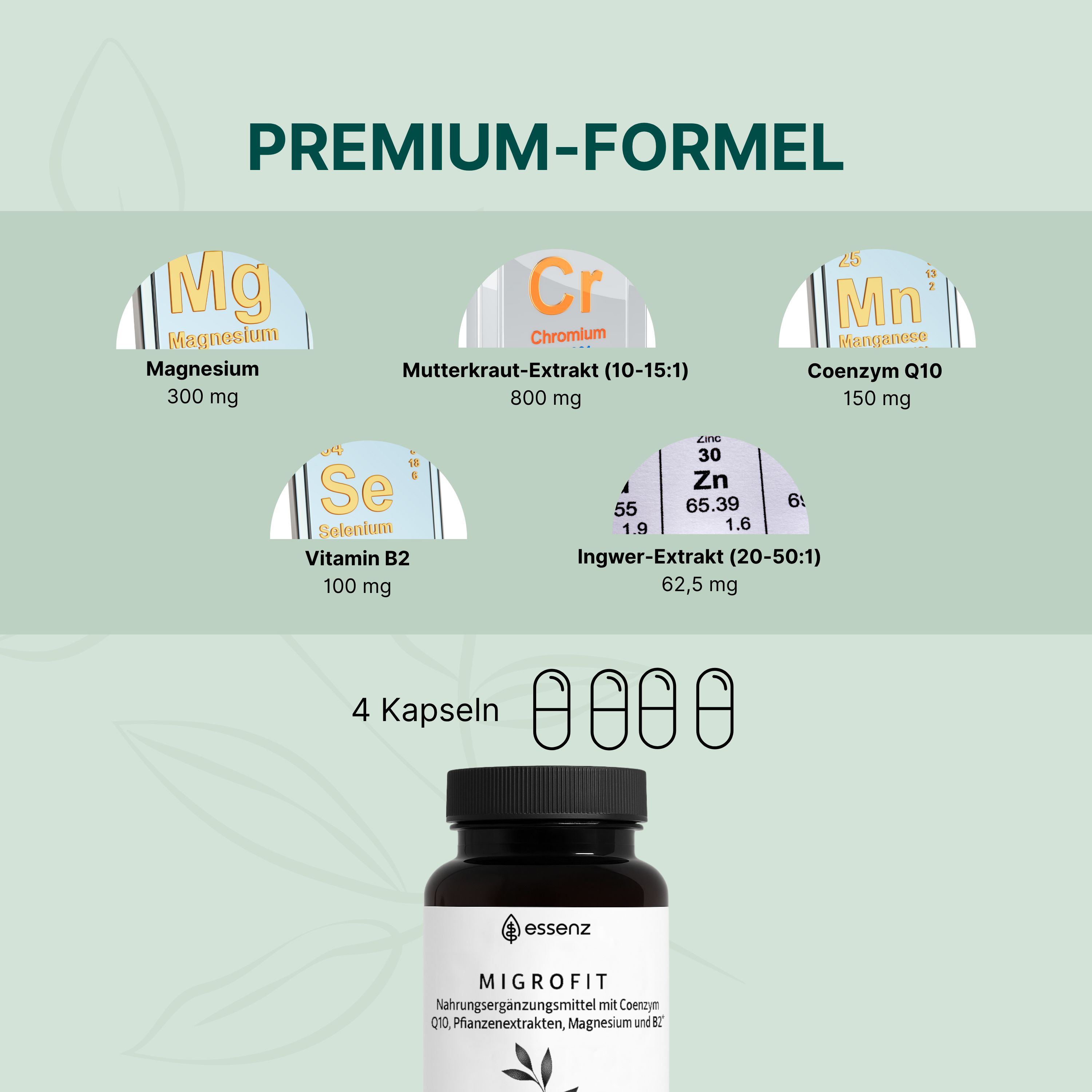 Darstellung von Magnesium, Chrom, Mangan, Selen, Zink und Coenzym Q10.