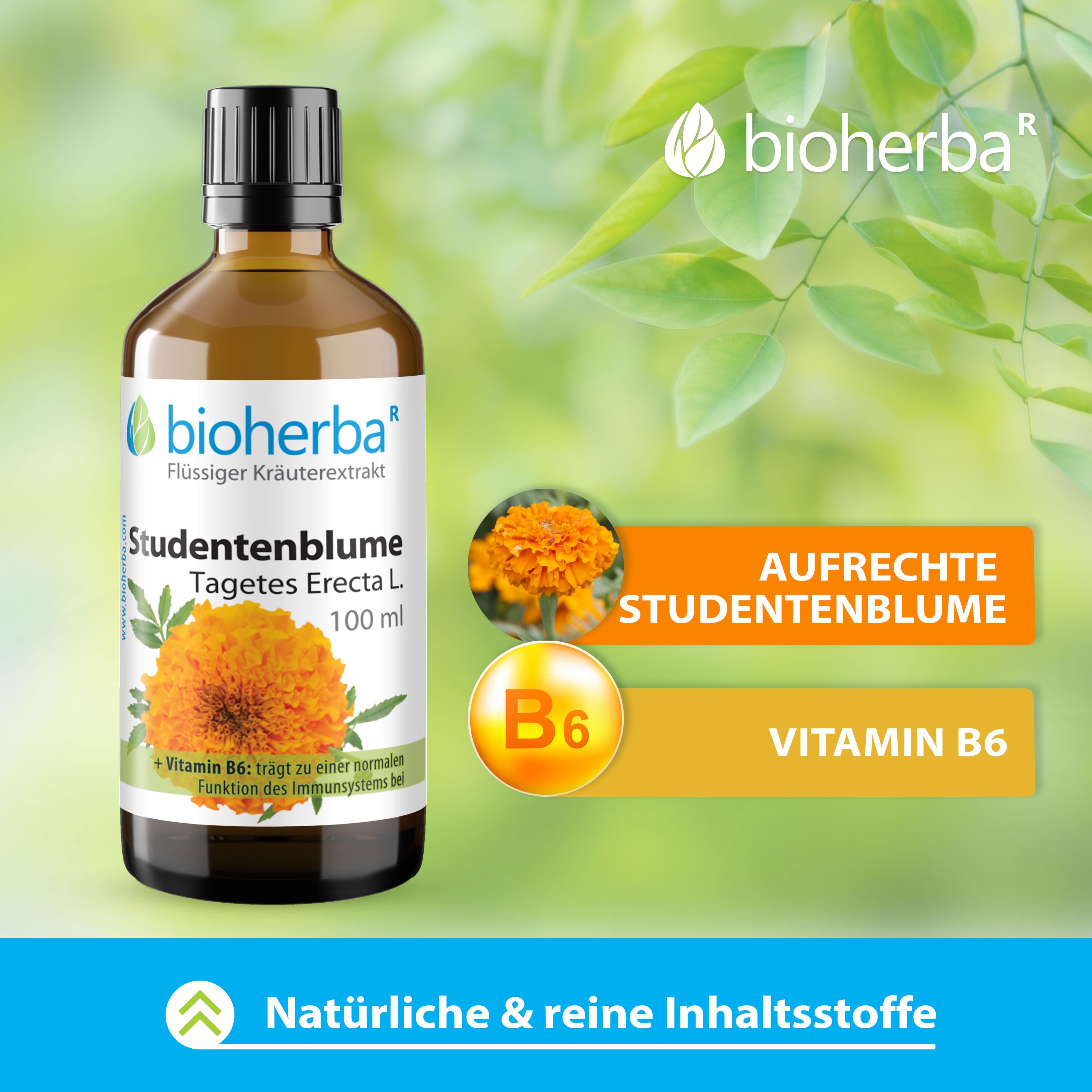 Bioherba Studentenblume Тagetes Erecta L. Tropfen Tinktur