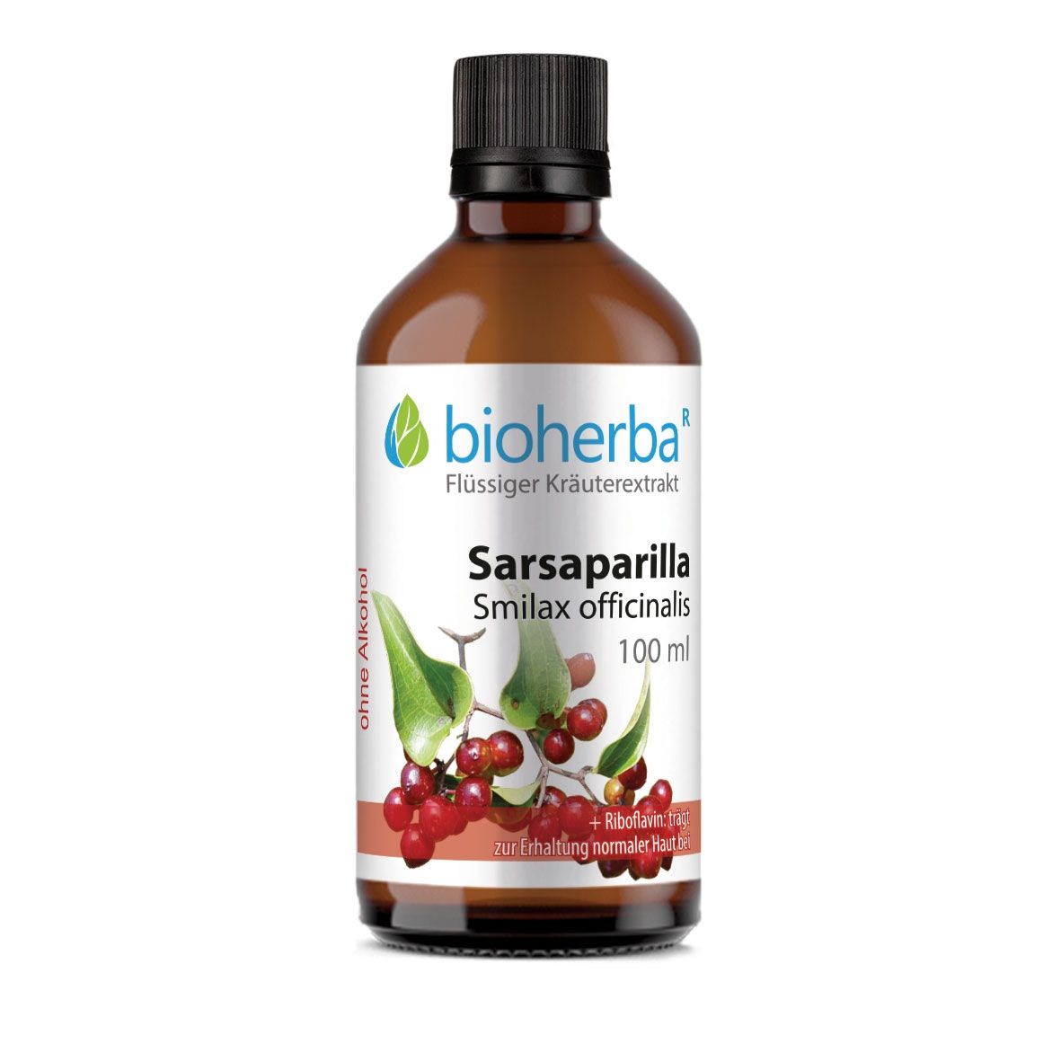 Braune Glasflasche mit schwarzem Deckel. Etikett: Bioherba Sarsaparilla, Smilax officinalis, 100 ml. Ohne Alkohol.