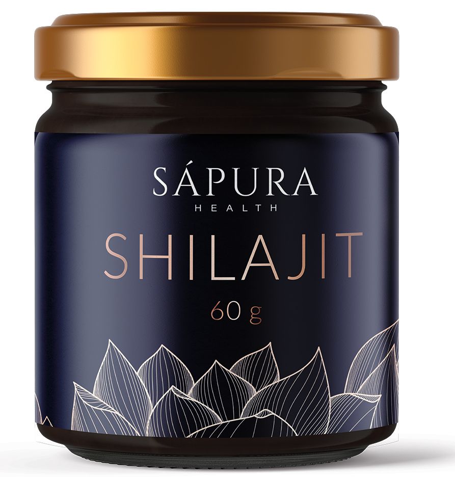 Shilajit Resin Mumijo ⭐60g⭐ Shilajit Harz + Löffel