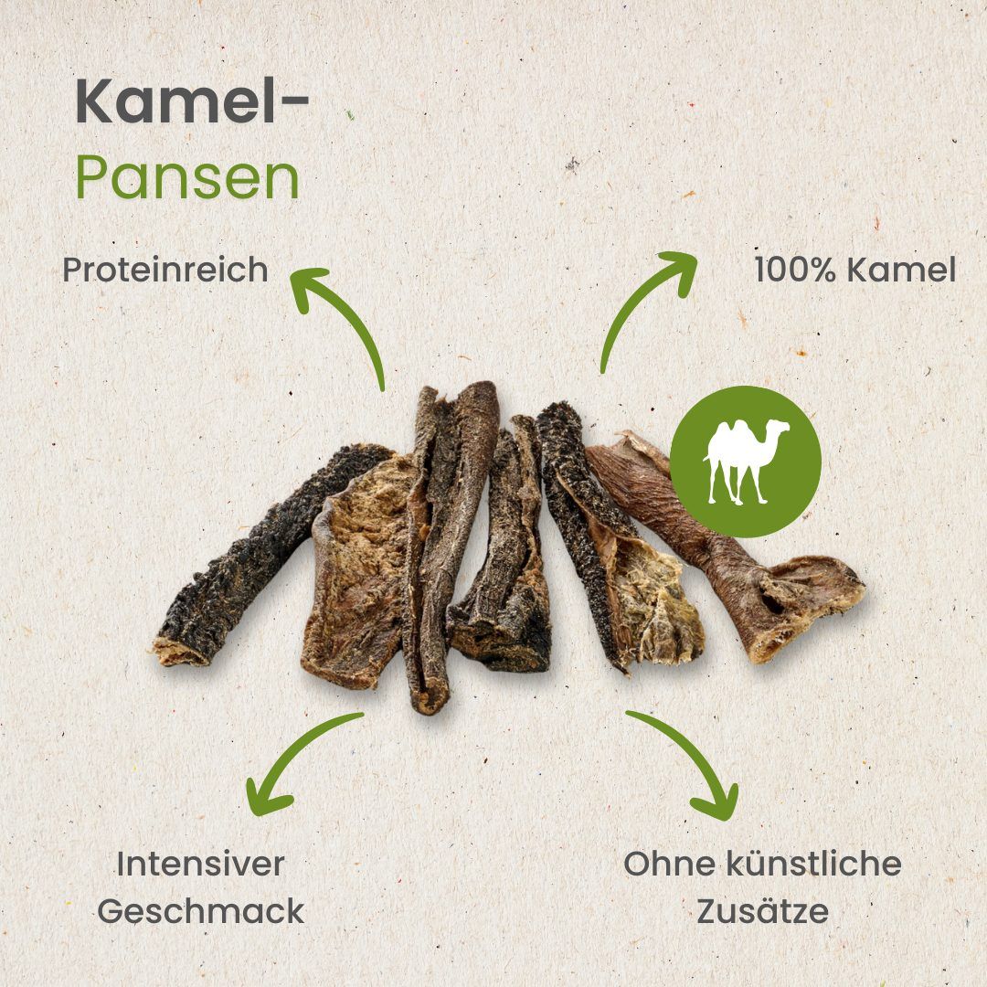 Getrocknete Kamel-Pansenstücke, intensiv im Geruch, ohne künstliche Zusätze.