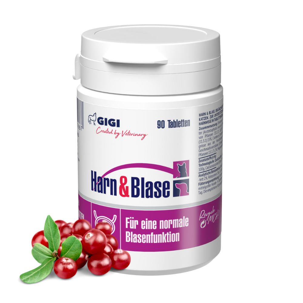 GIGI VET Harn & Blase