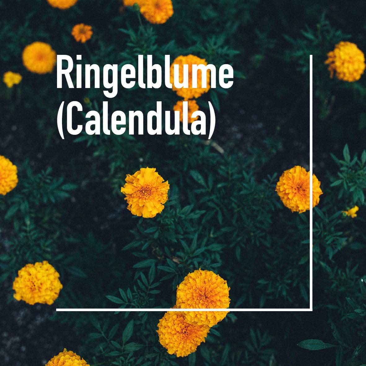 Vitabay Ringelblumensalbe