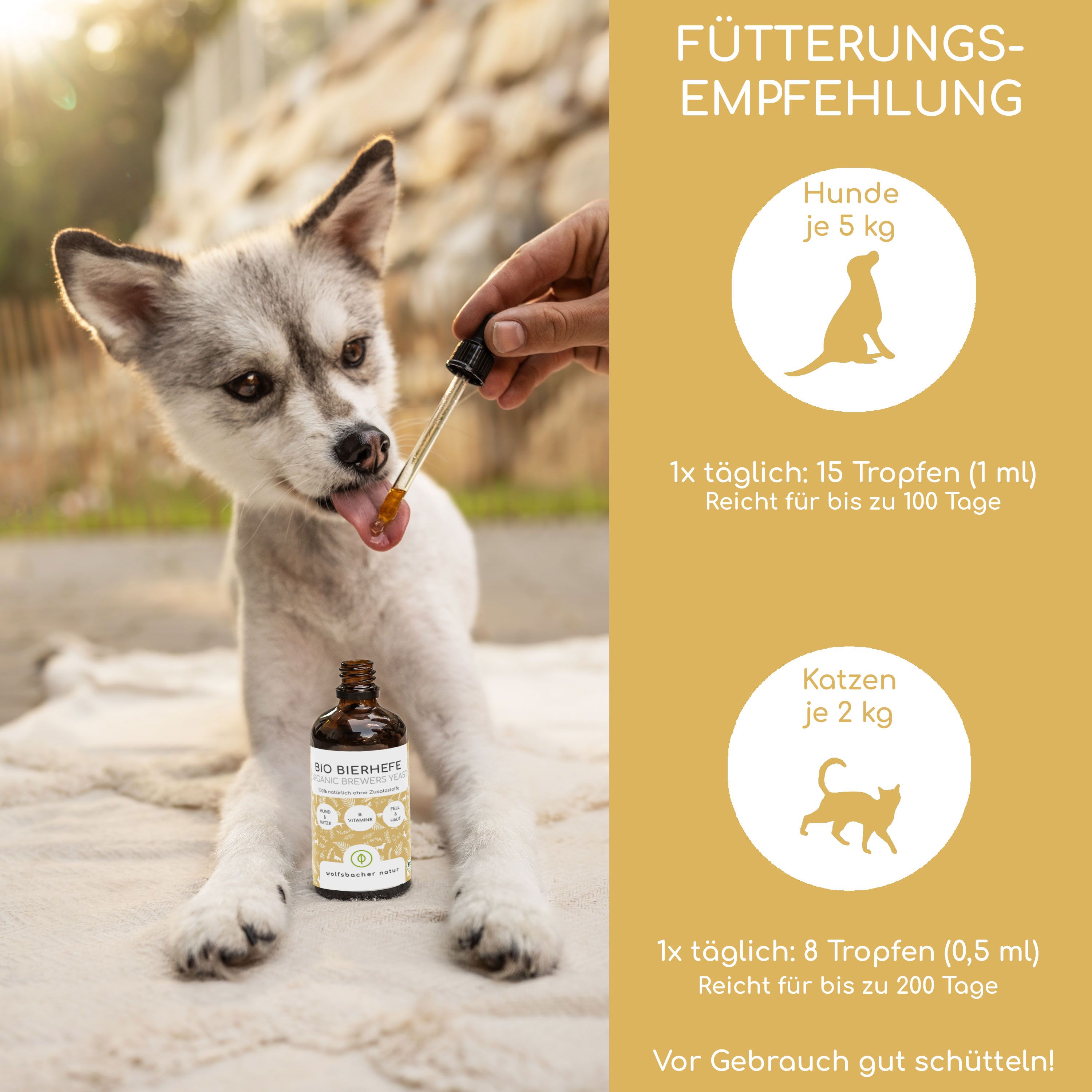 Ein Hund leckt Tropfen aus einer Pipette, die von einer Hand gehalten wird. Daneben eine Flasche Bio Bierhefe. Rechts: Fütterungsempfehlung für Hunde und Katzen.