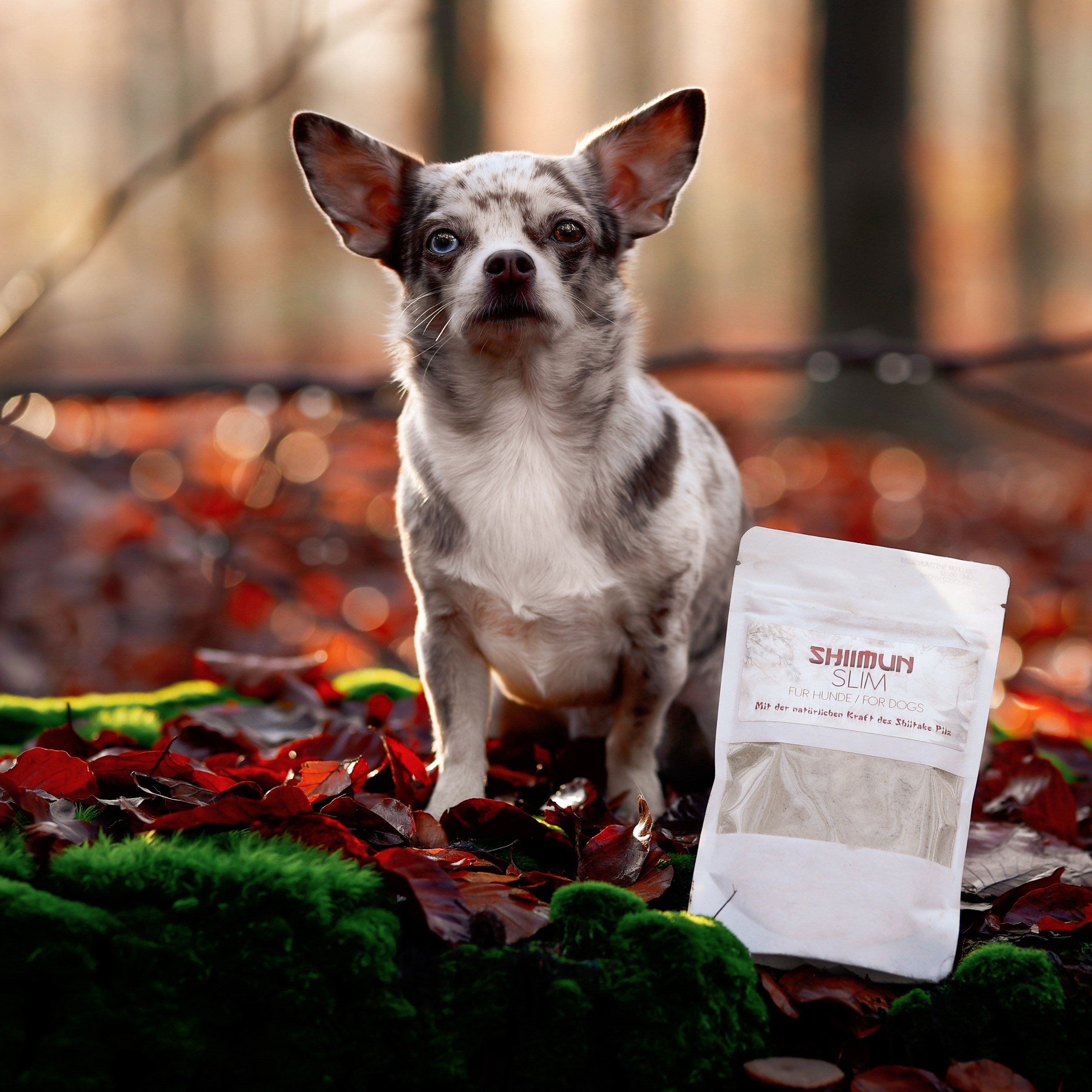 Bellfor Nahrungsergänzungs für Hunde mit Shiitake - Shiimun Slim