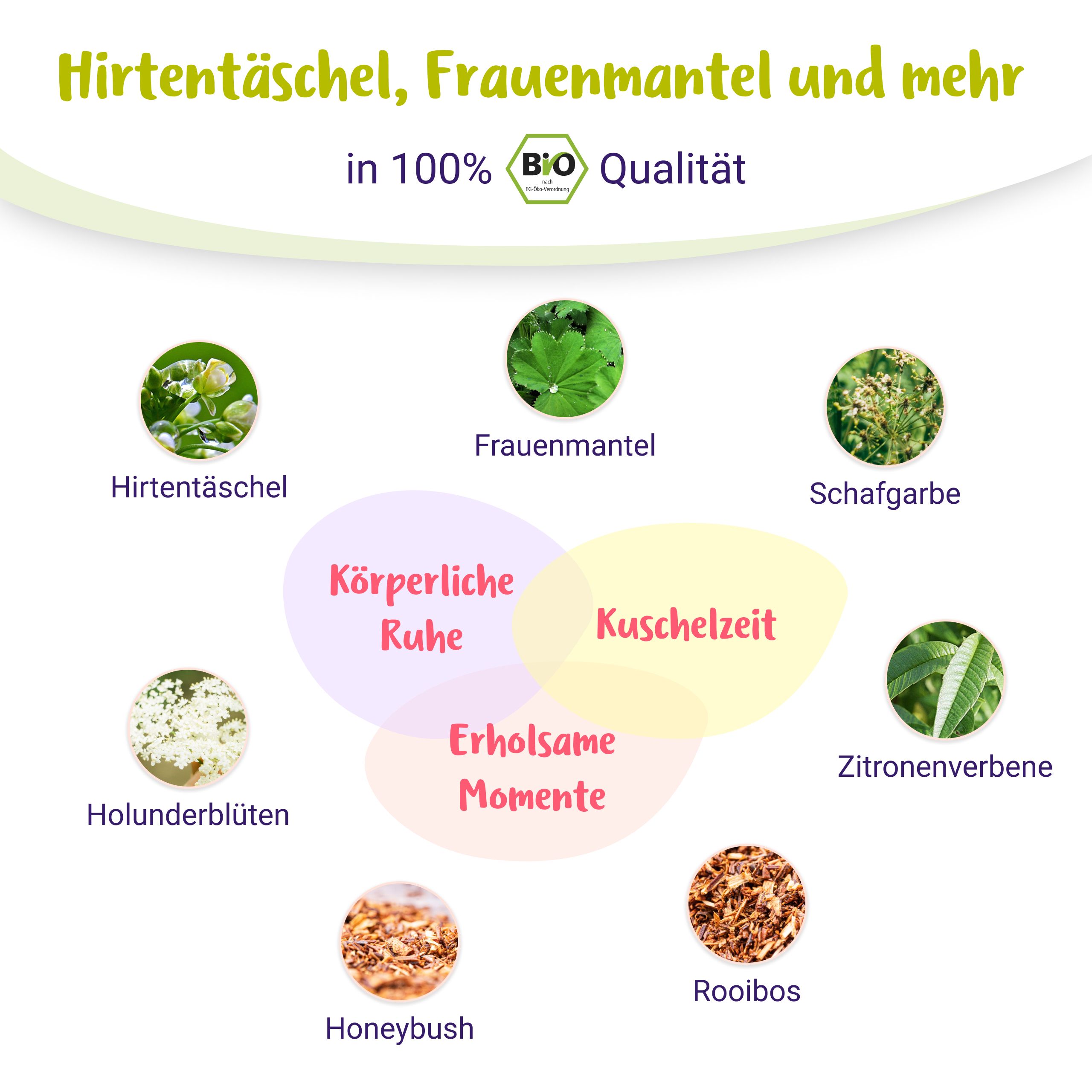 Zutaten des PregniVital Wochenbett Tees: Hirtentäschel, Frauenmantel, Schafgarbe, Holunderblüten, Honeybush, Rooibos, Zitronenverbene.