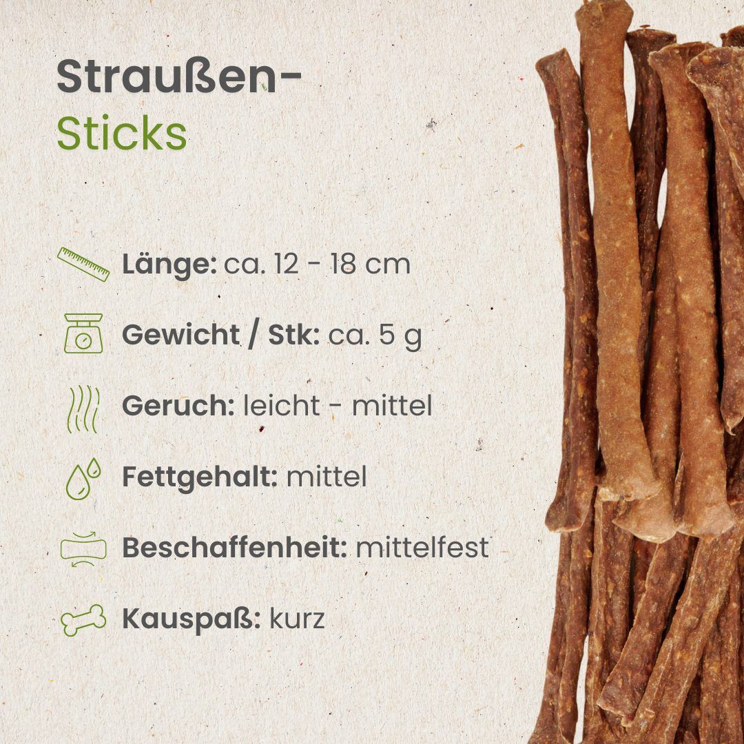 Ein Kind gibt einem Golden Retriever einen Straußen-Stick.