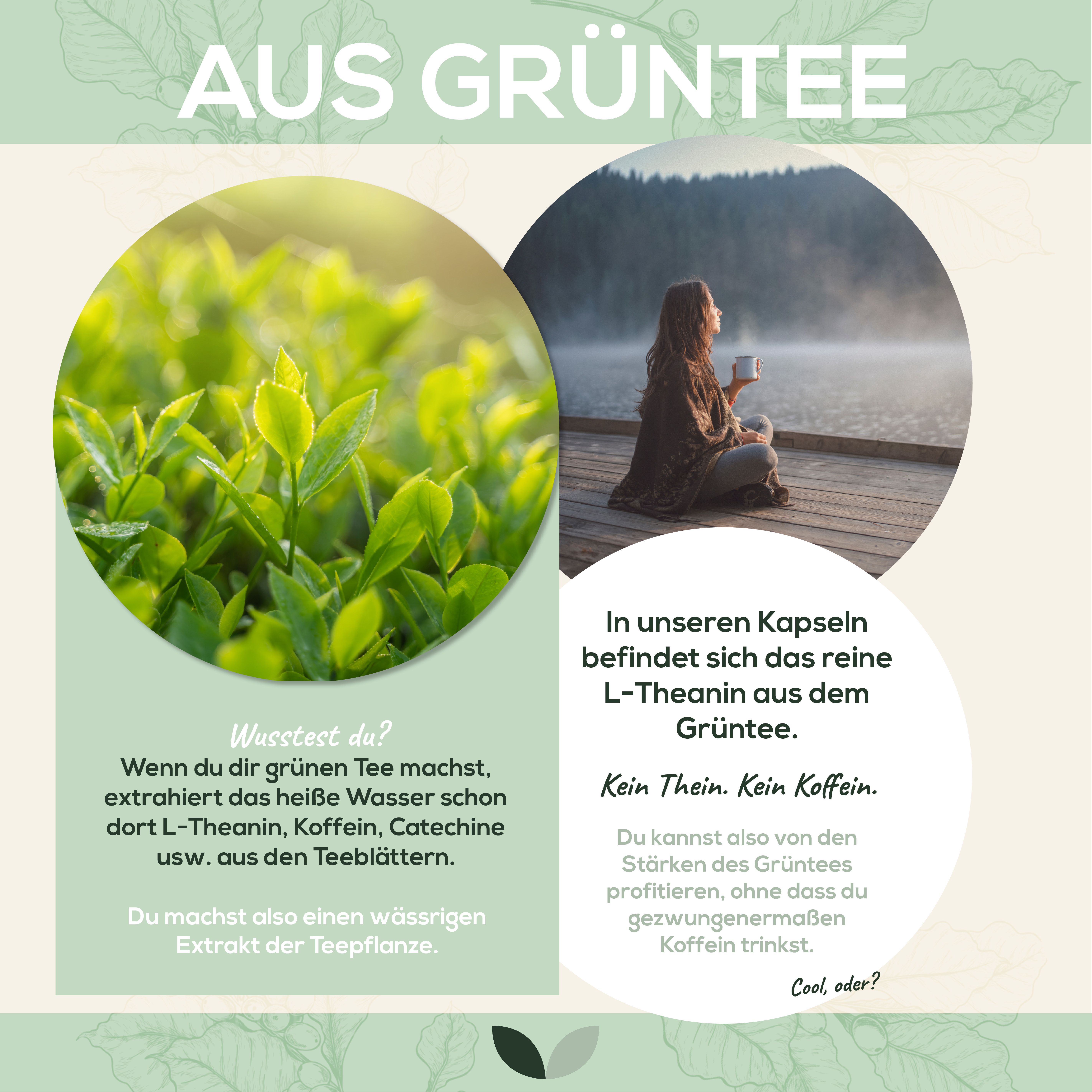 Infografik: Illustrationen von Grüntee und einer Frau. Text: L-Theanin aus Grüntee. Keine Thein, kein Koffein. Kapseln enthalten reines L-Theanin.