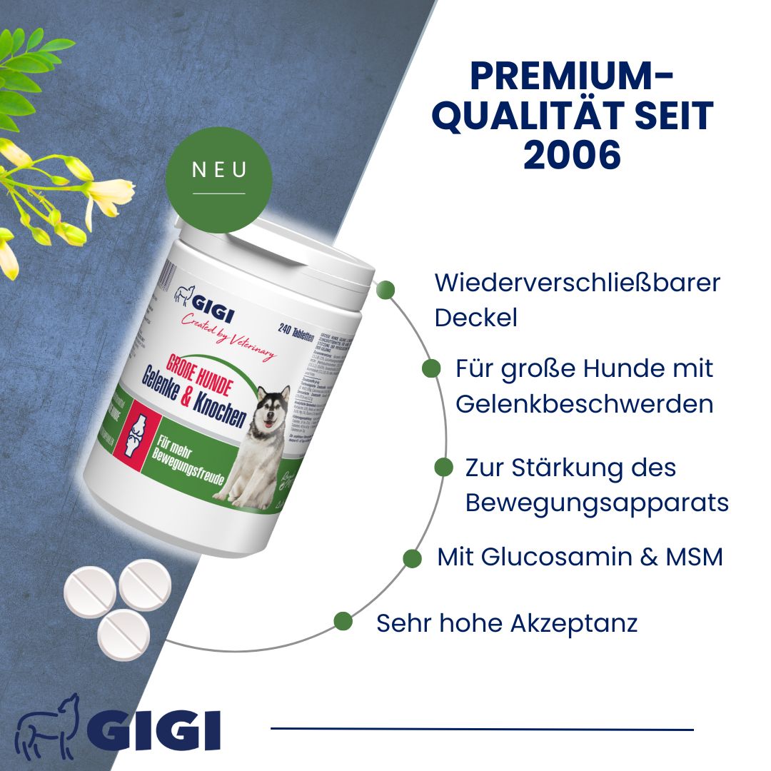 Produktverpackung mit GIGI VET Große Hunde Gelenke & Knochen. Wiederverschließbarer Deckel. 3 Tabletten daneben. Text: Premium-Qualität seit 2006.