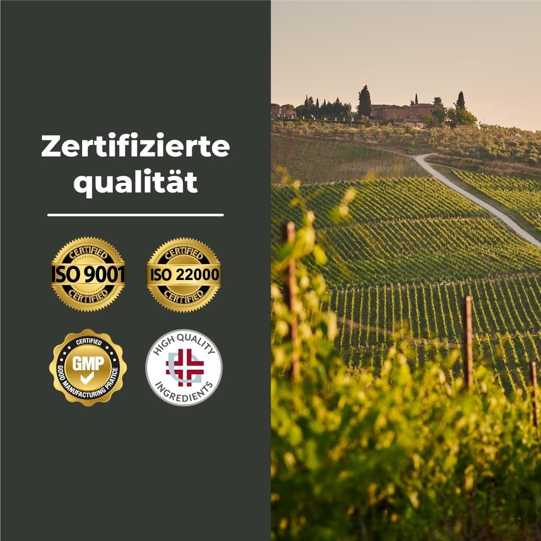 Landschaft mit Weinbergen und Zertifizierungen: ISO 9001, ISO 22000, GMP, High Quality Ingredients.