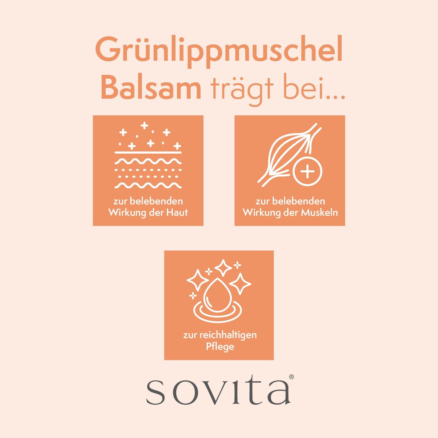 sovita Grünlippmuschel Balsam