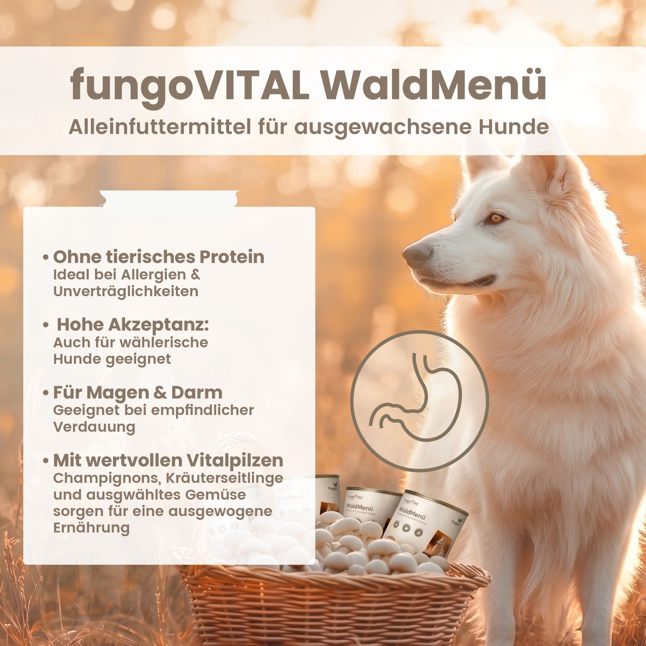 Hund blickt nach rechts, neben einem Korb mit Dosen und Pilzen. Text über Vorteile für Hunde.