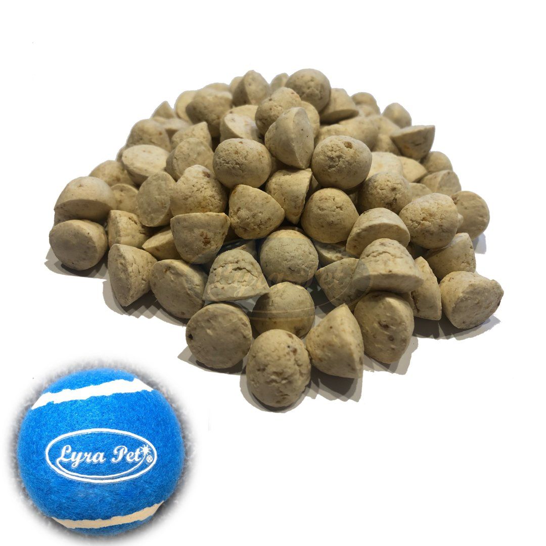 Lyra Pet® Hundekekse mit Strauß + Tennis Ball