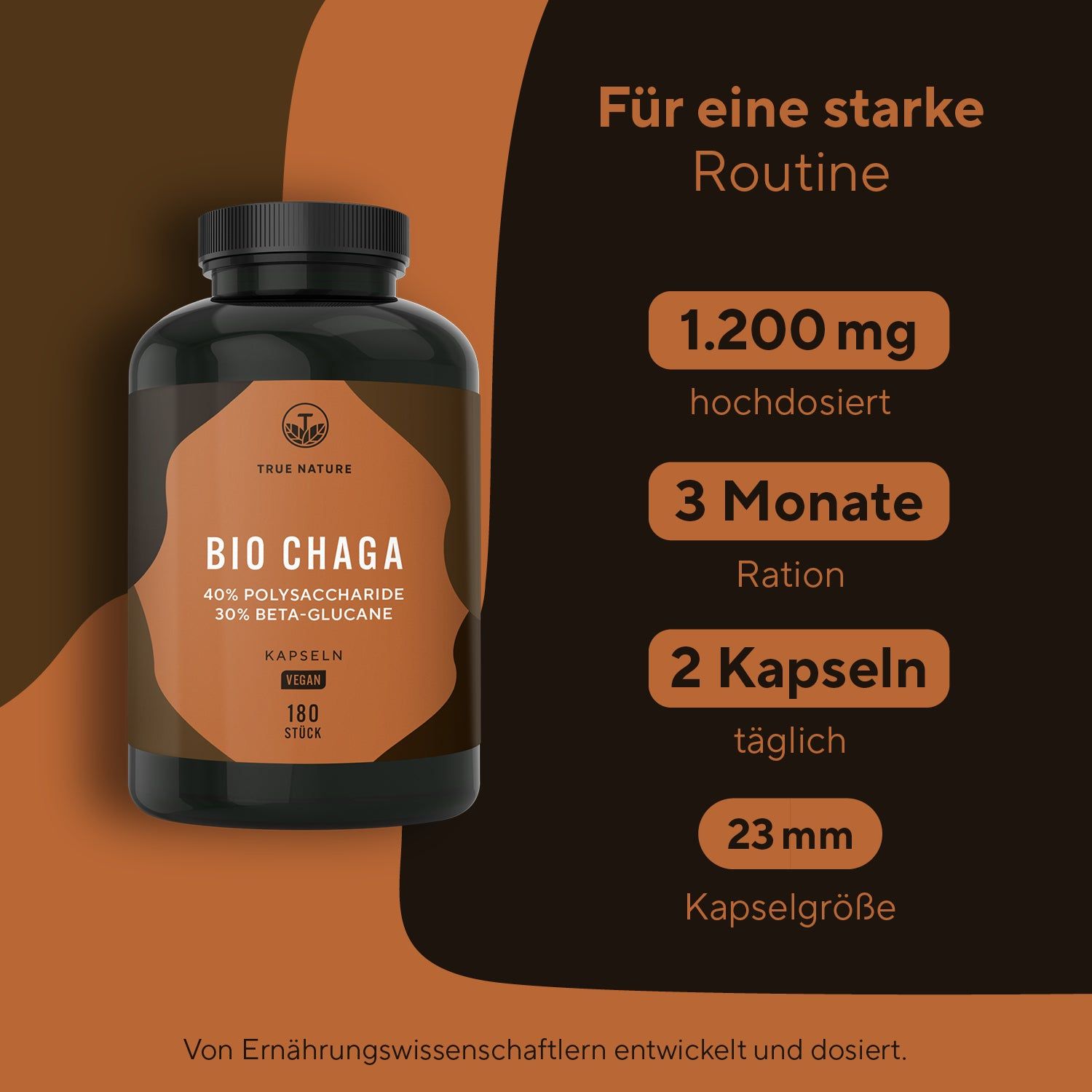 Braune Kapsel-Dose mit schwarzem Deckel. Aufschrift: BIO CHAGA, 40% Polysaccharide, 30% Beta-Glucane, Kapseln, Vegan, 180 Stück.