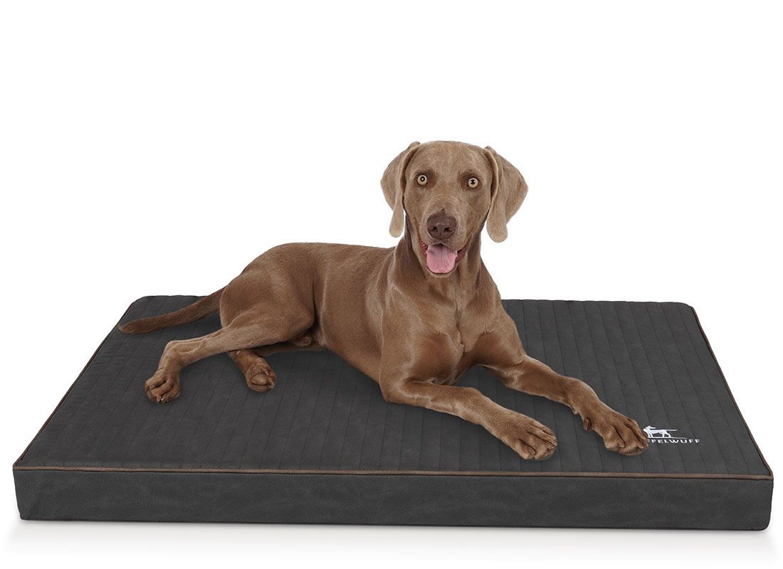 Hund liegt auf orthopädischer Hundematte. Dunkelgraue Matte mit braunem Rand. Knuffelwuff Logo sichtbar.