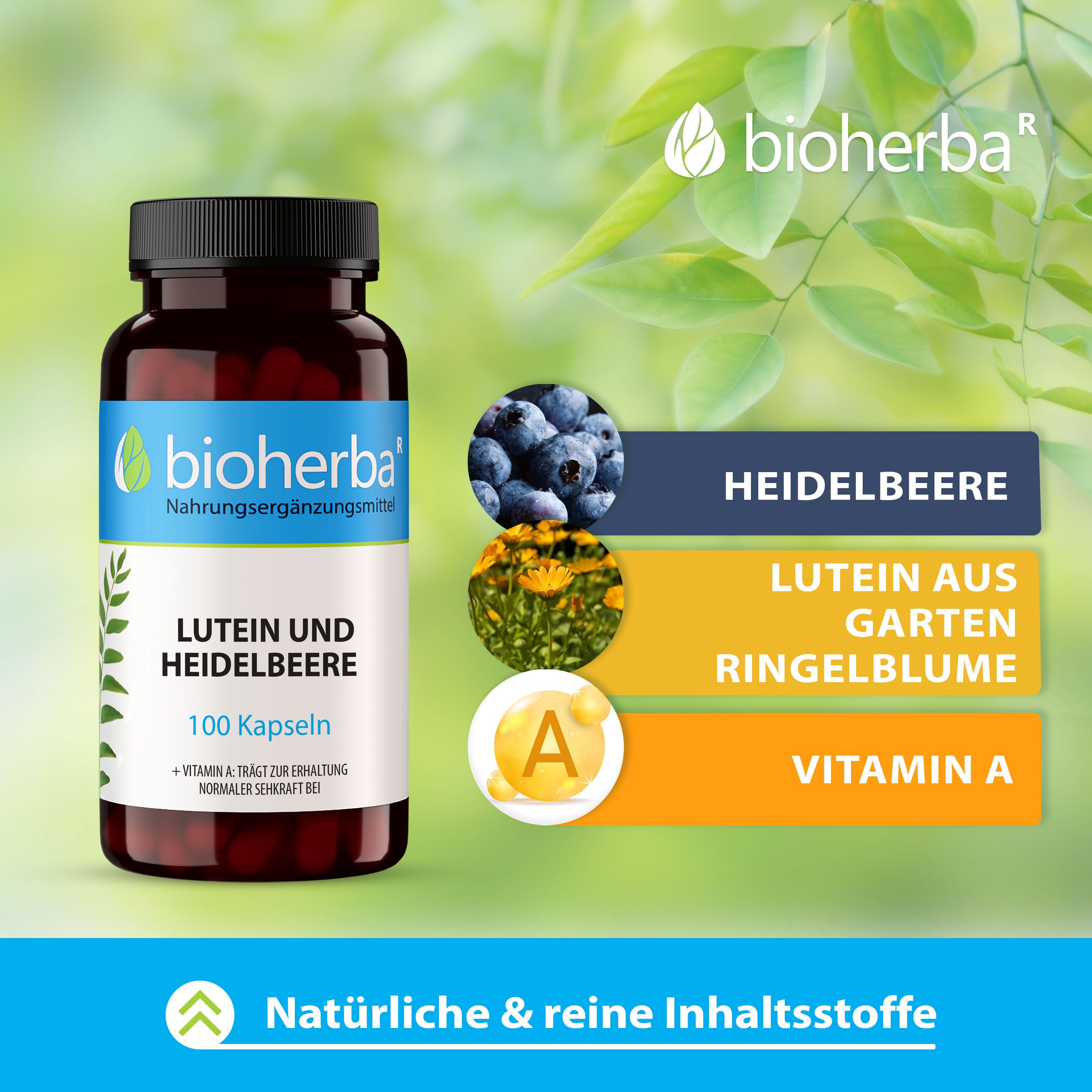 Bioherba Lutein und Heidelbeere Kapseln