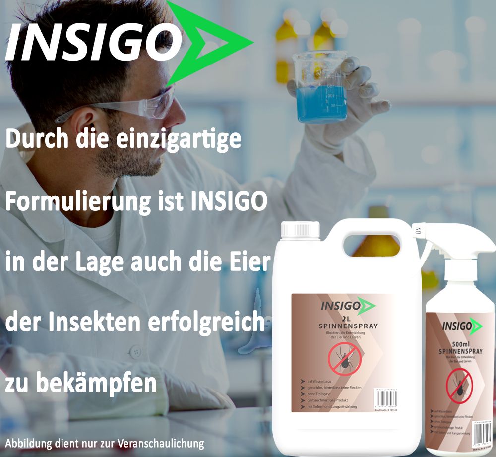 INSIGO Spinnenspray