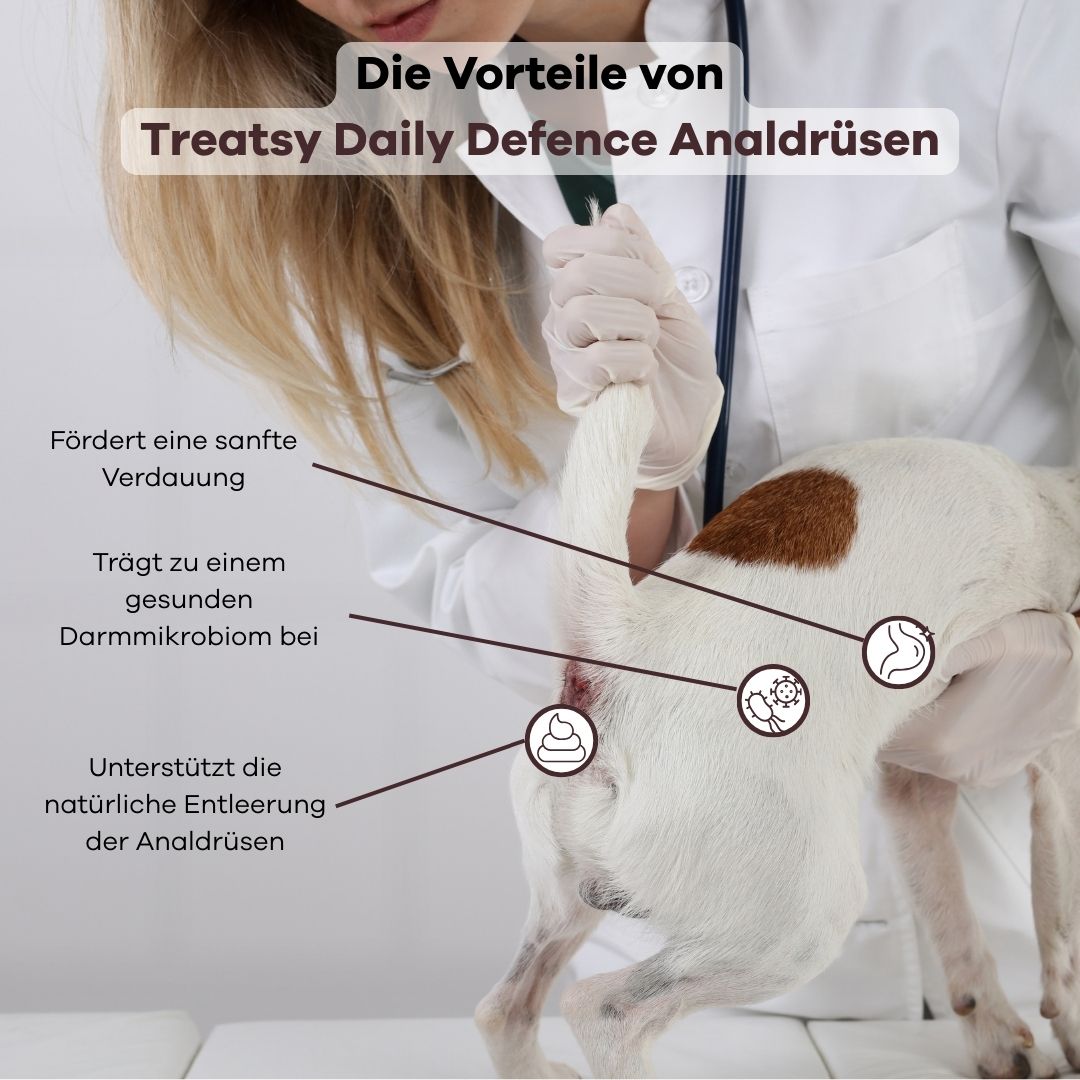 Tierarzt untersucht Hund. Text: Vorteile von Treatsy Daily Defence Analdrüsen. Grafiken zeigen Verdauung und Darm.