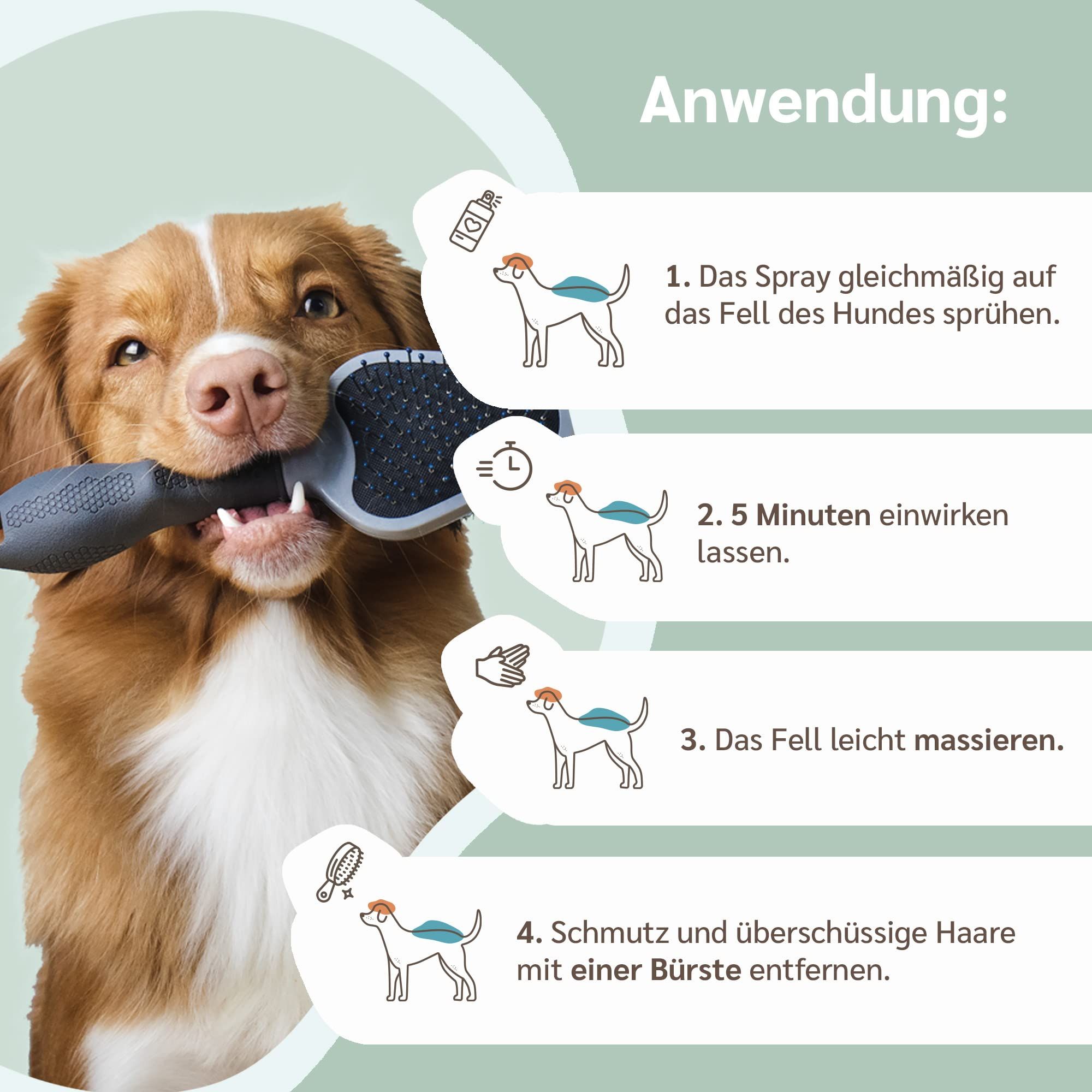 amusi Hundeshampoo gegen Juckreiz