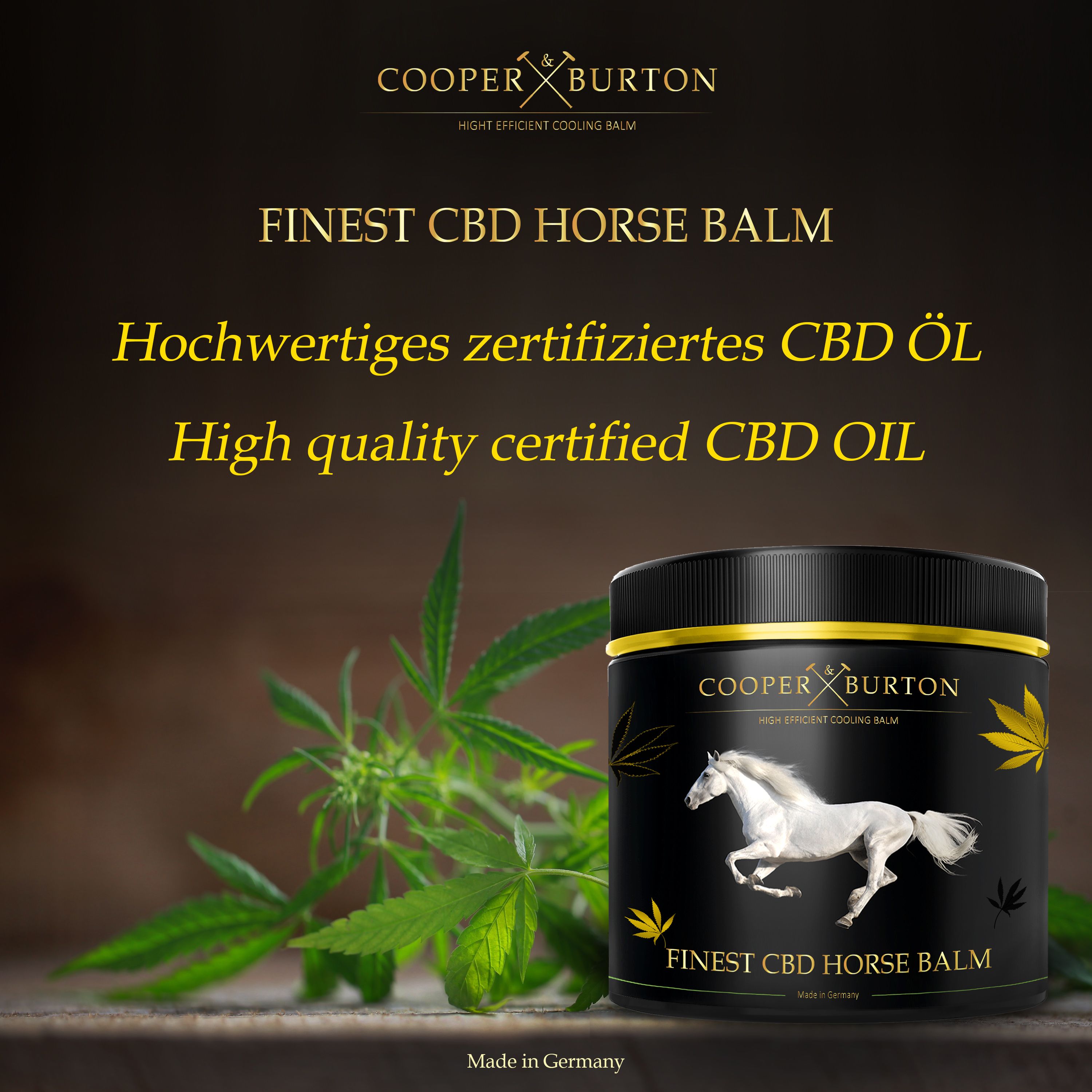Schwarzer Tiegel mit goldener Aufschrift und weißem Pferd. Text: FINES CBD HORSE BALM, Hochwertiges zertifiziertes CBD ÖL, High quality certified CBD OIL.