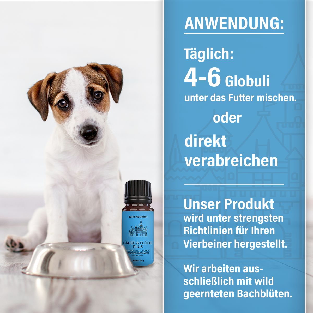 Saint Nutrition® | Läuse & Flöhe Plus Kügelchen für Hund & Katze