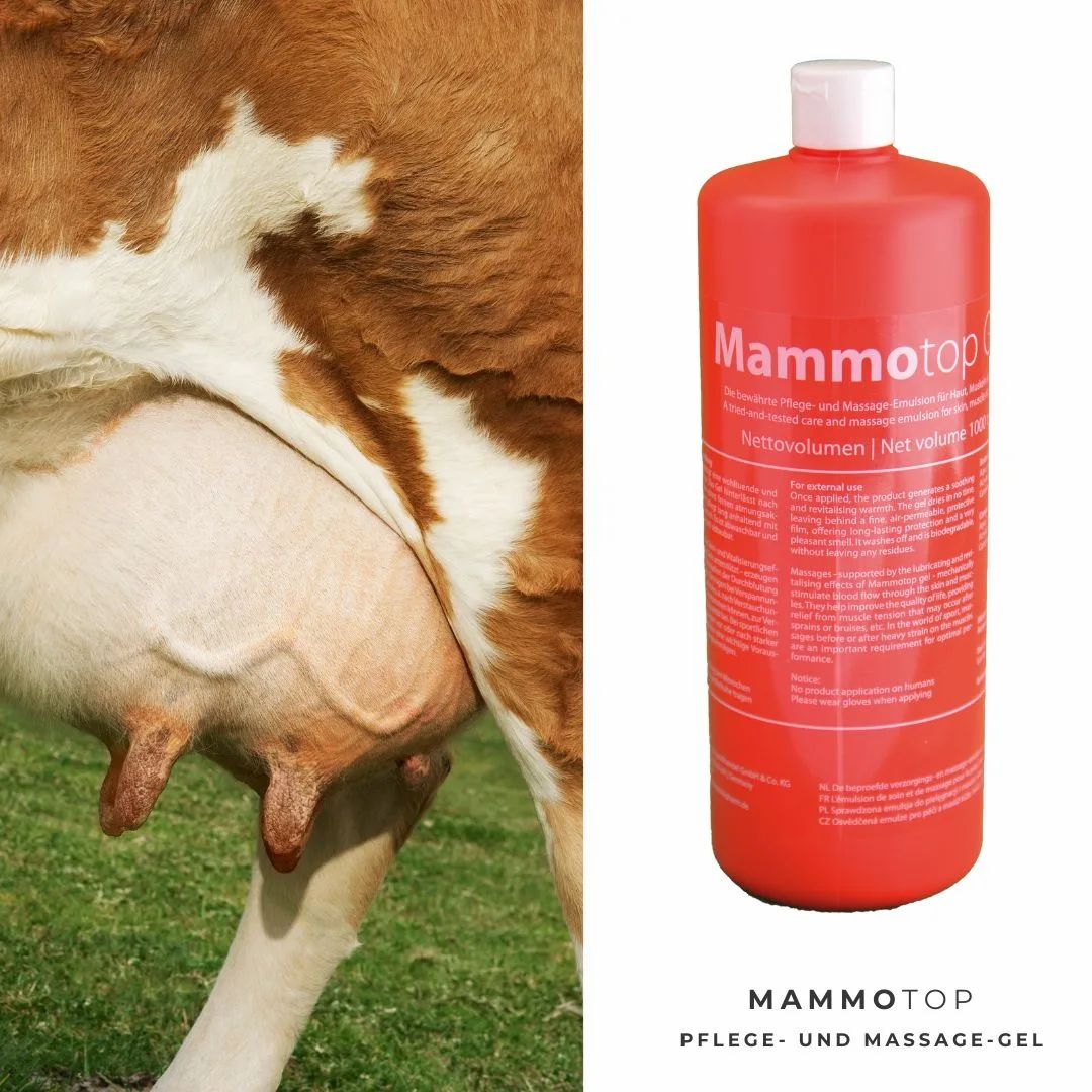 Rote Mammotop-Flasche neben dem Euter einer Kuh. Pflege- und Massage-Gel.