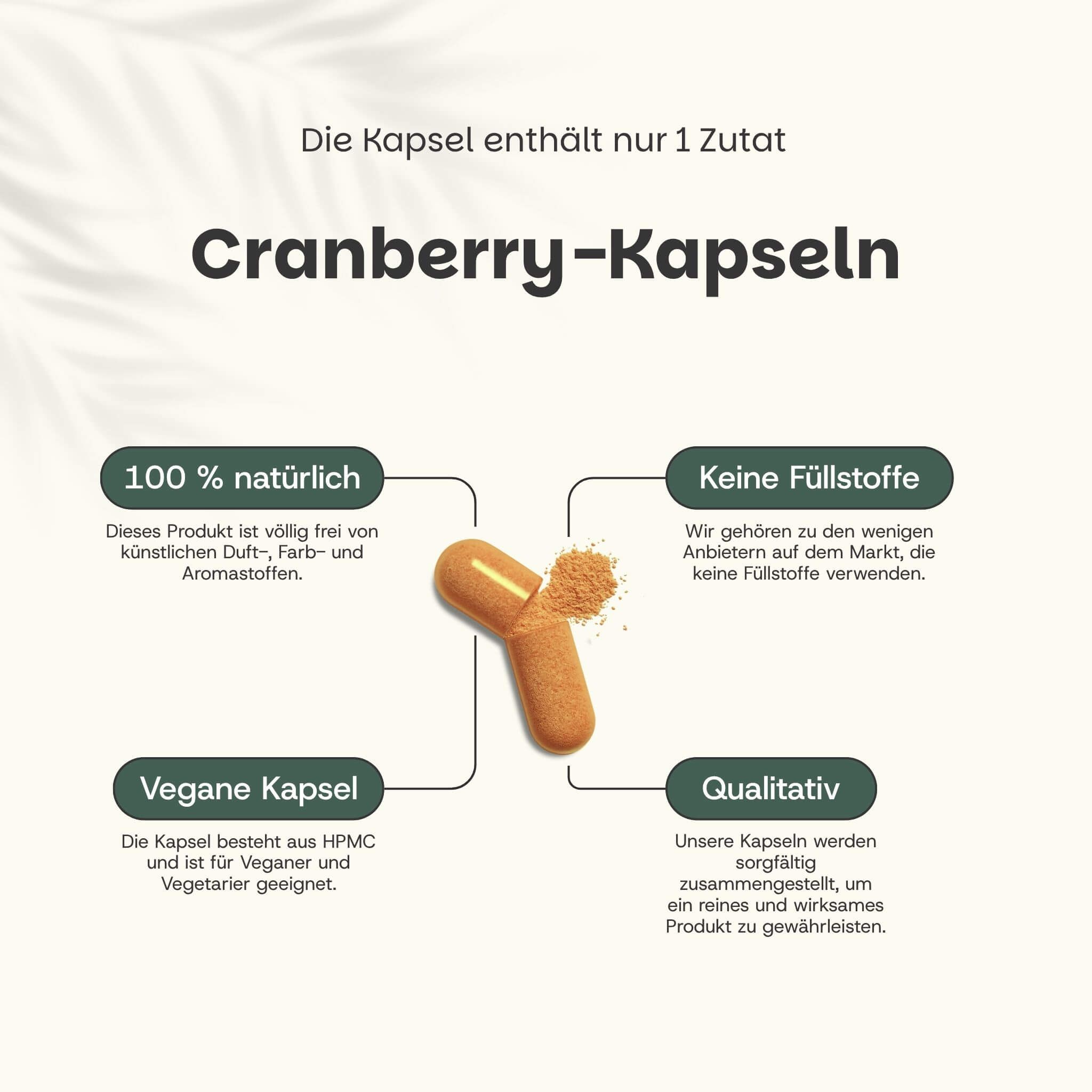 Cranberry-Kapsel, geöffnet. Text: 100% natürlich, keine Füllstoffe, vegane Kapsel, qualitativ.