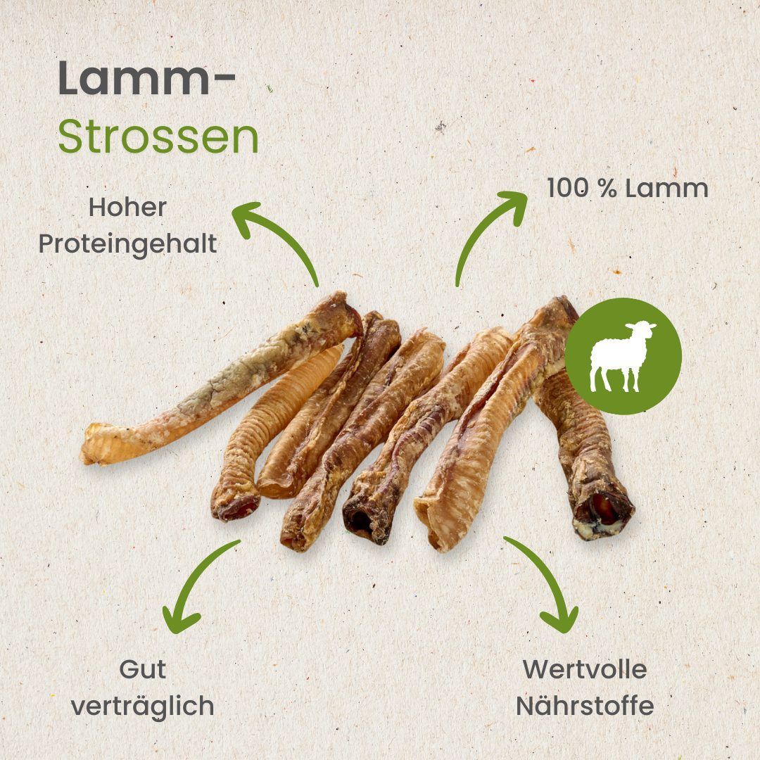 Ein Schäferhund kaut auf einer Lamm-Strosse, daneben liegen weitere.