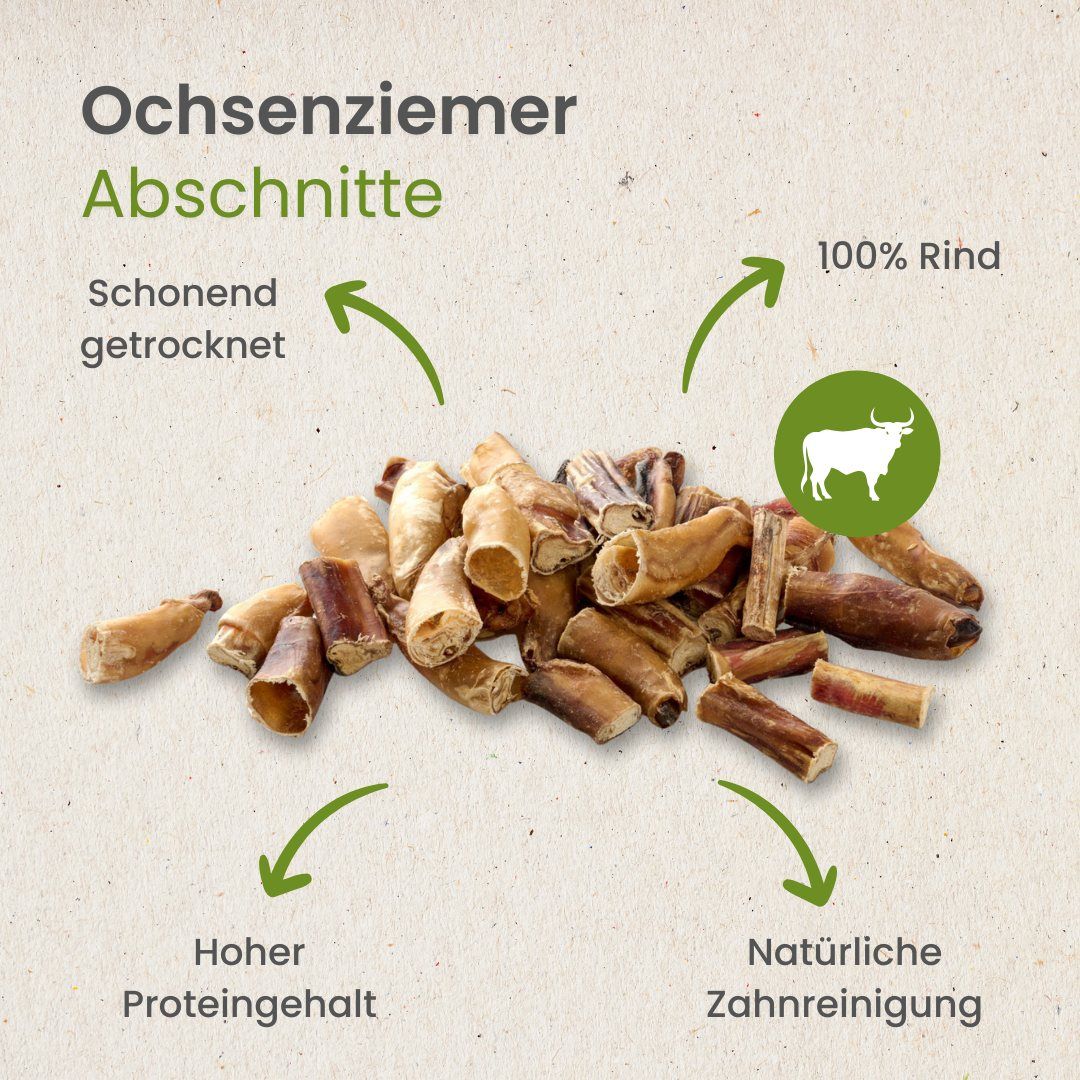 Fünf Ochsenziemer auf weißem Hintergrund.