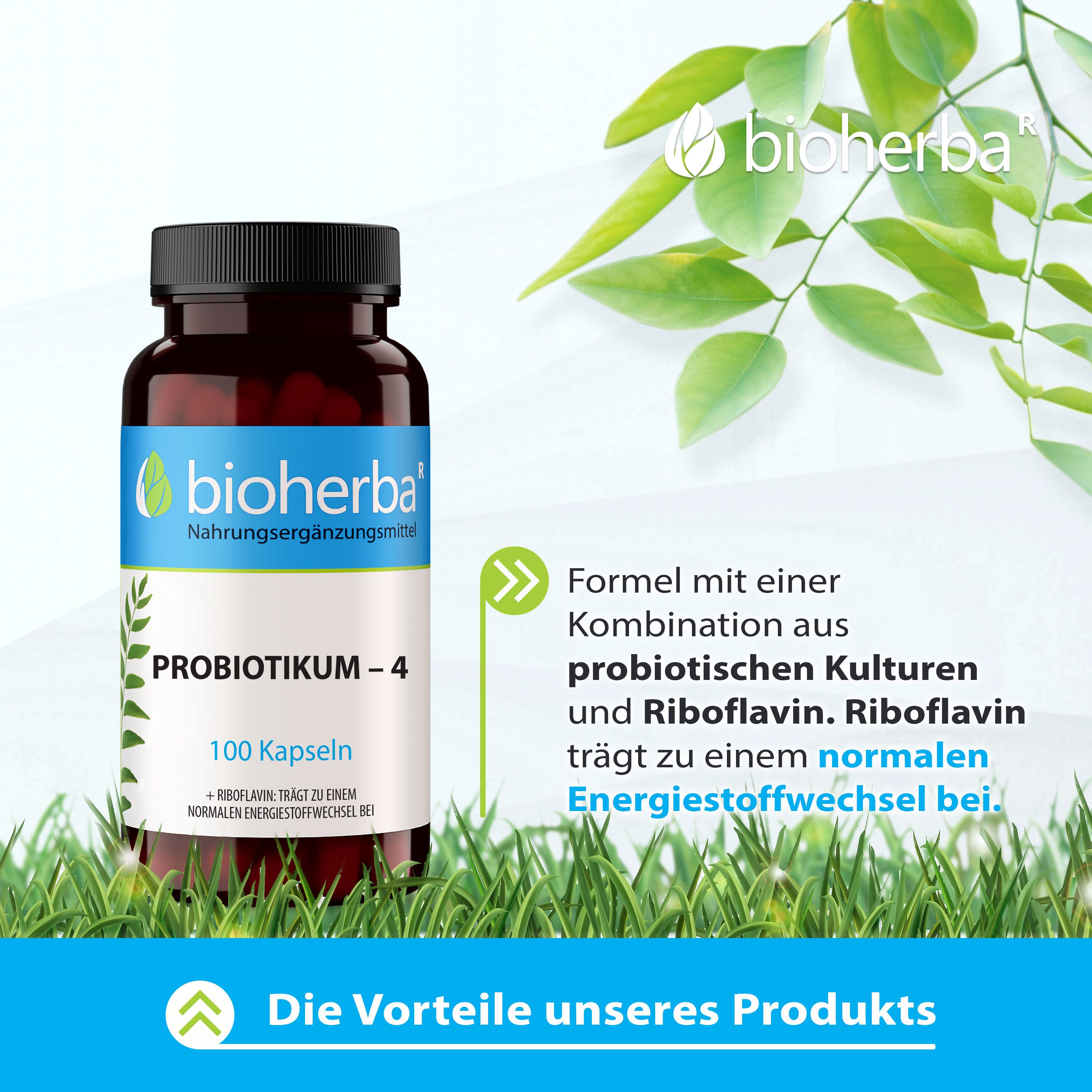 Bioherba Probiotikum–4 Kapseln