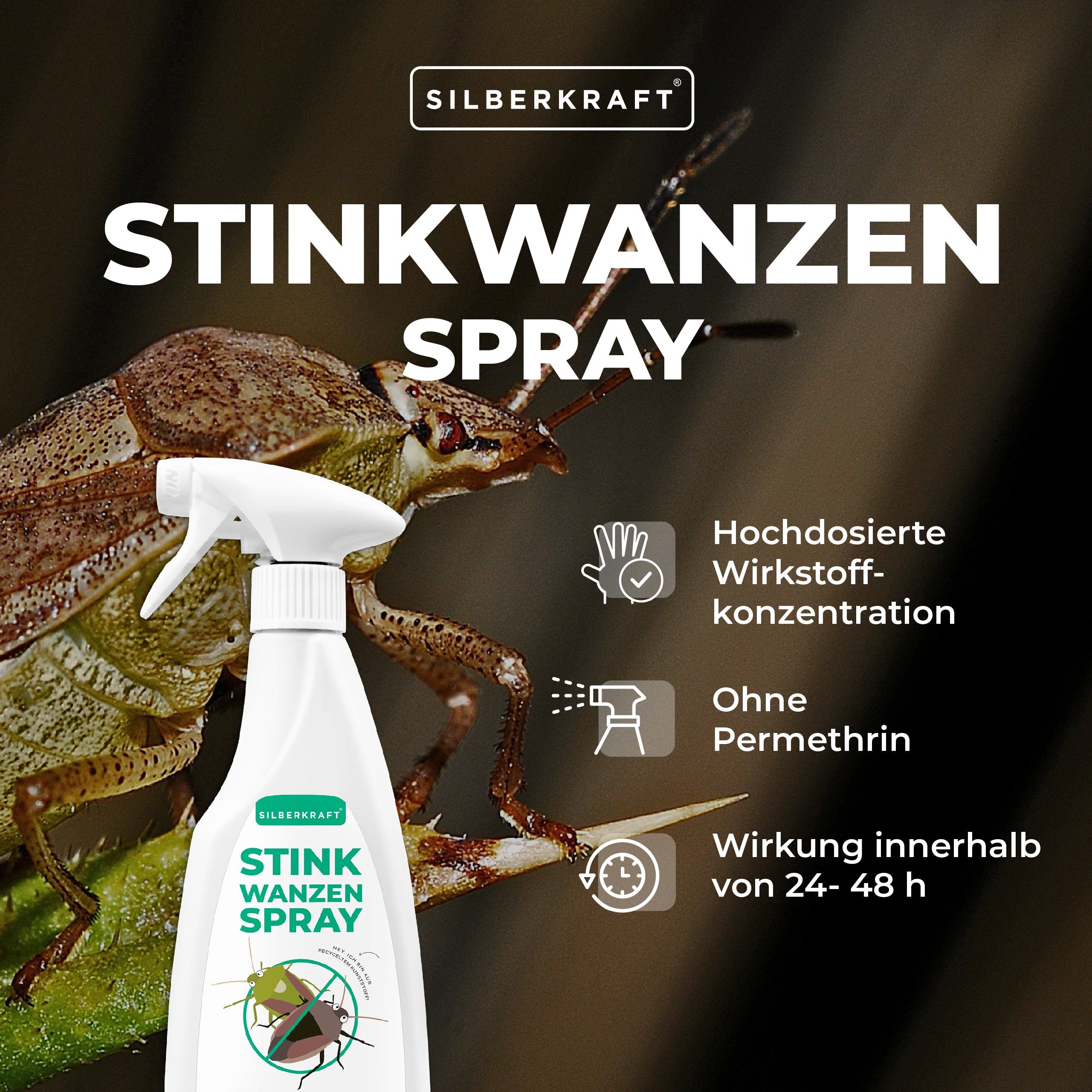 Silberkraft Stinkwanzenspray 12x500 ml Spray