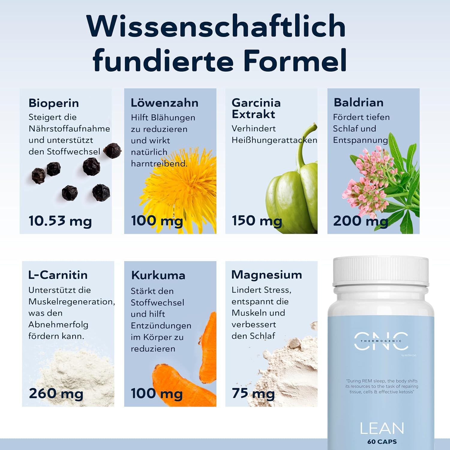 QSTA  Abnehmen Schnell Fettverbrenner QSTA LEAN
