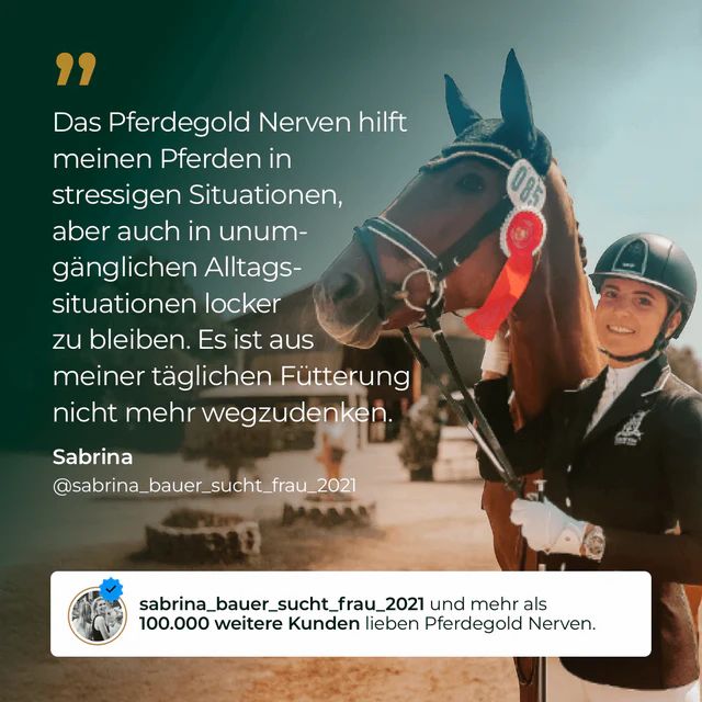 Reiterin mit Pferd, Zitat über Pferdegold Nerven.