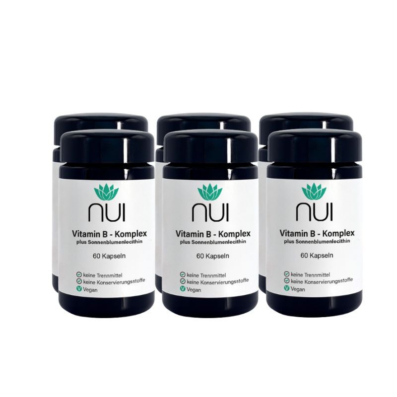 Sechs Flaschen NUI Vitamin B-Komplex. Schwarze Deckel, weiße Etiketten mit Logo und Produktinformationen. 60 Kapseln pro Flasche.
