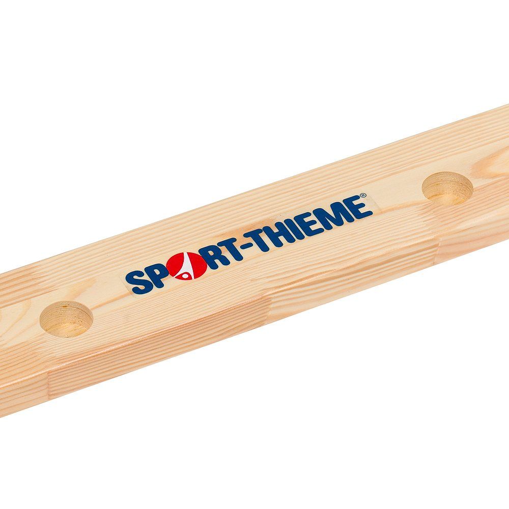 Sport-Thieme Sprossenwand Original