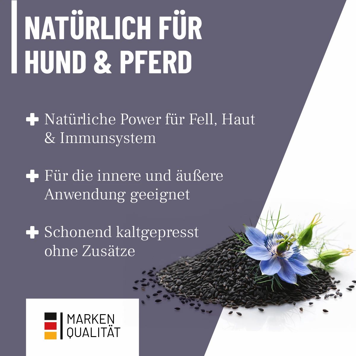 Schwarzkümmelöl - ReaVET