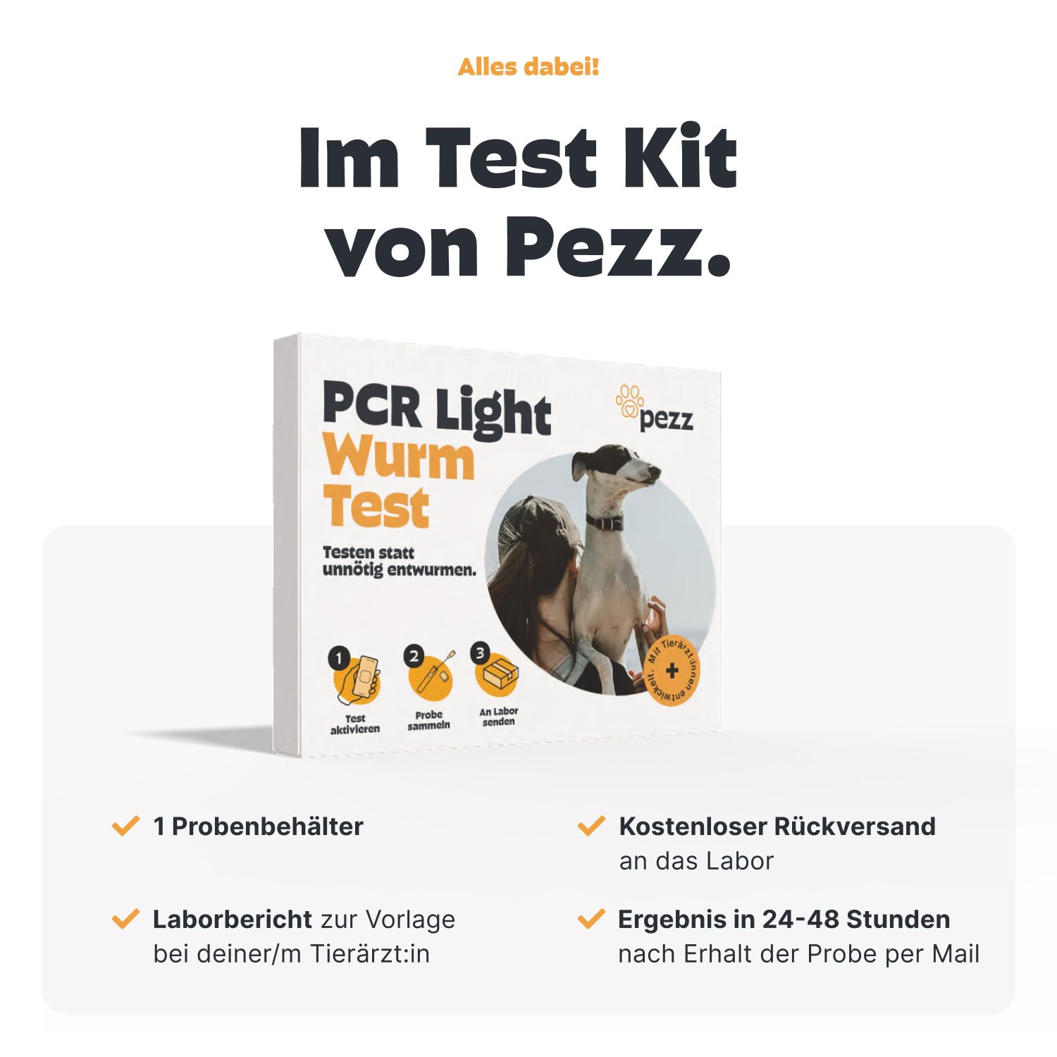 Werbebild mit Produktverpackung. Text: 'Im Test Kit von Pezz'. Vier Checklistenpunkte: Probenbehälter, Laborbericht, Rückversand, Ergebnis.