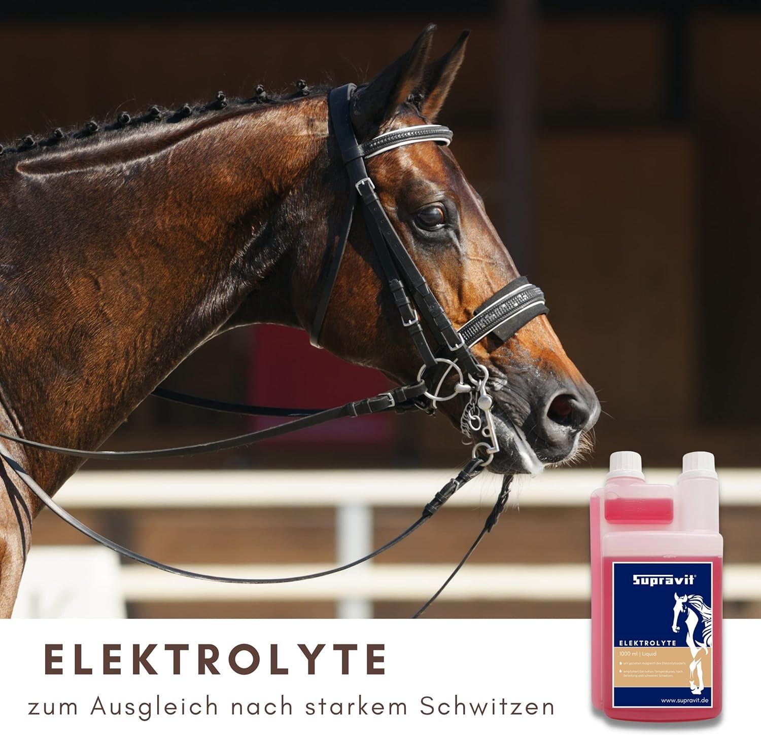 Pferdekopf mit Zaumzeug. Rechts: Flasche mit Supravit Elektrolyte. Text: Elektrolyte zum Ausgleich nach starkem Schwitzen.