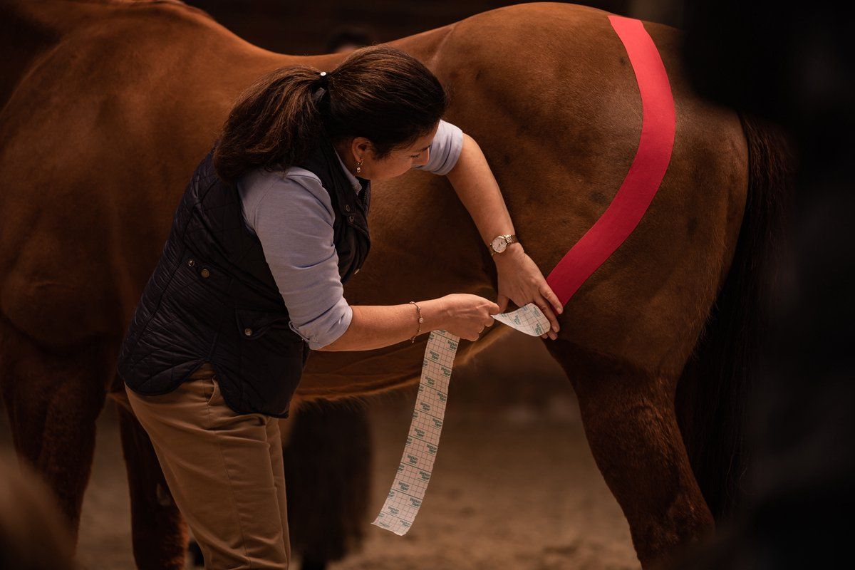 VetkinTape 10cm Rot, Kinesiotape für Pferde u.a. Tiere