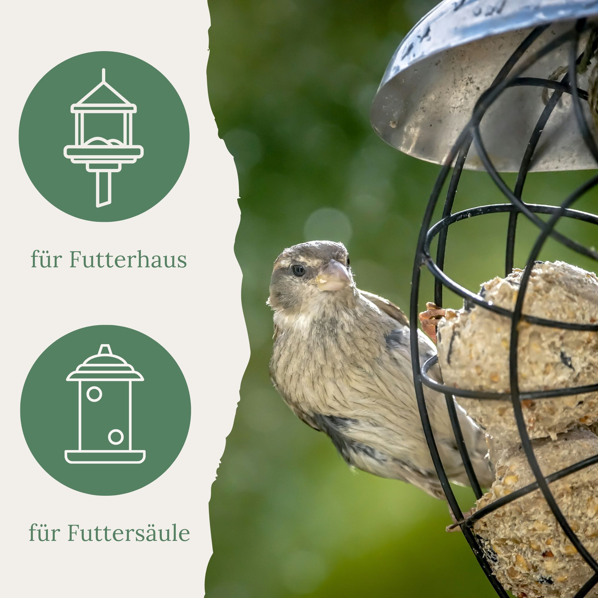 Vogel an einer Futterstelle. Text: für Futterhaus, für Futtersäule.