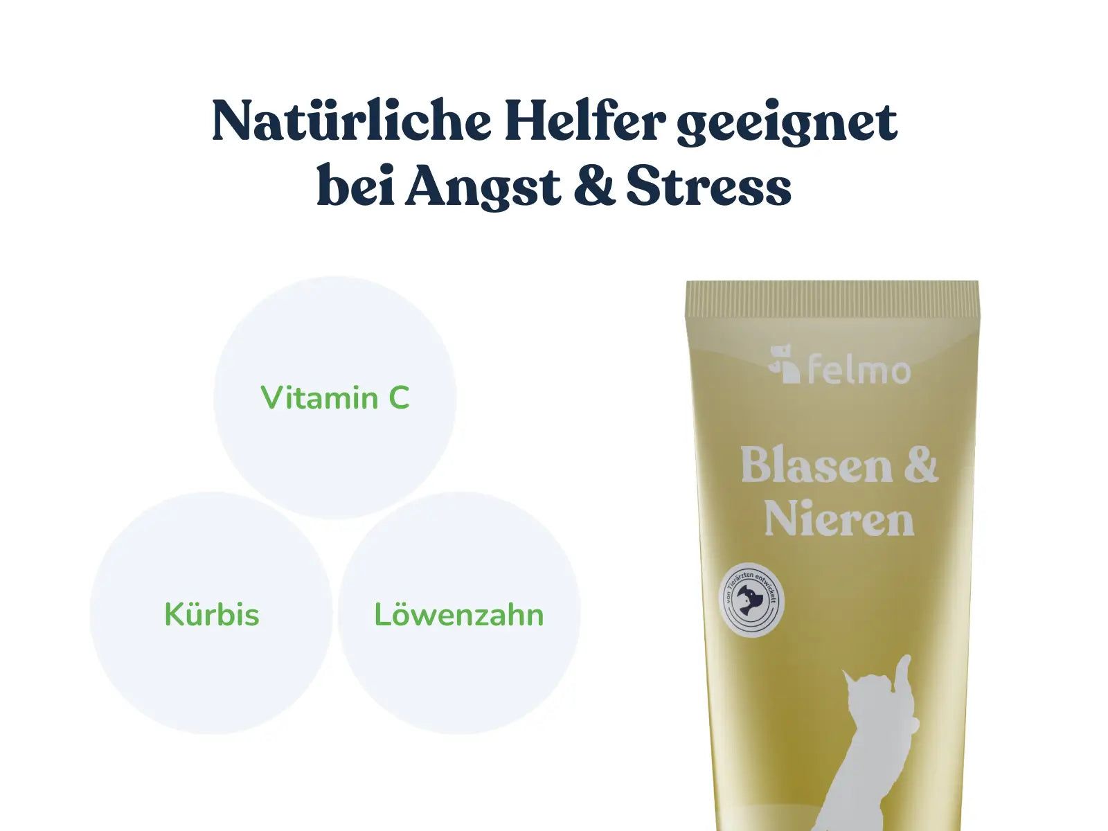 felmo Blasen- & Harnwege-Paste für Katzen