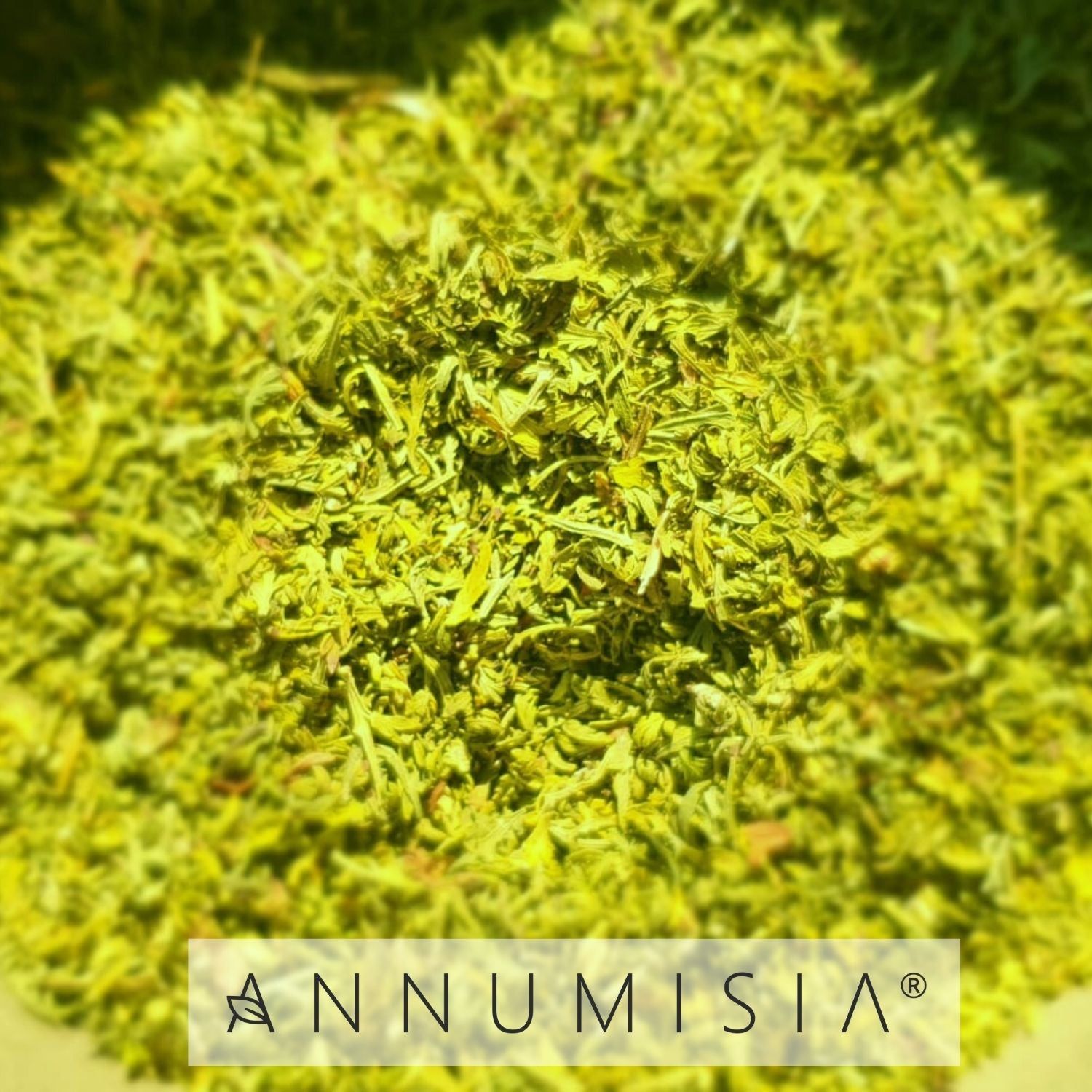 ANNUMISIA® Artemisia Annua Blätter