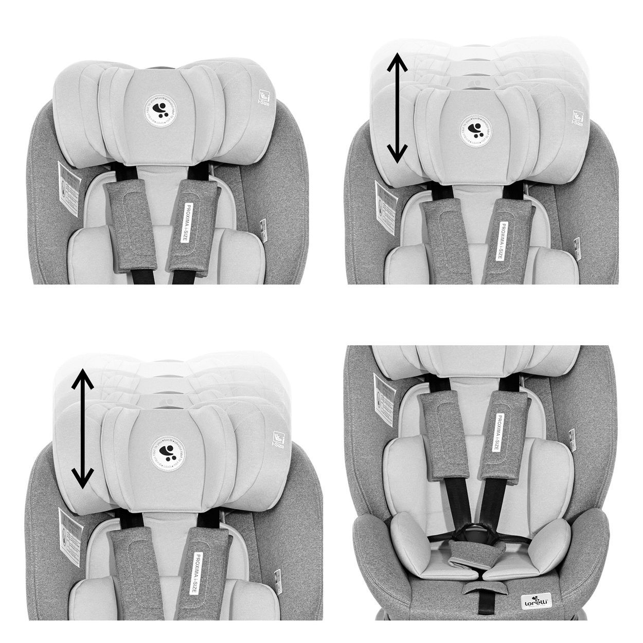 Lorelli Kindersitz Proxima Isofix Gruppe 0/1/2