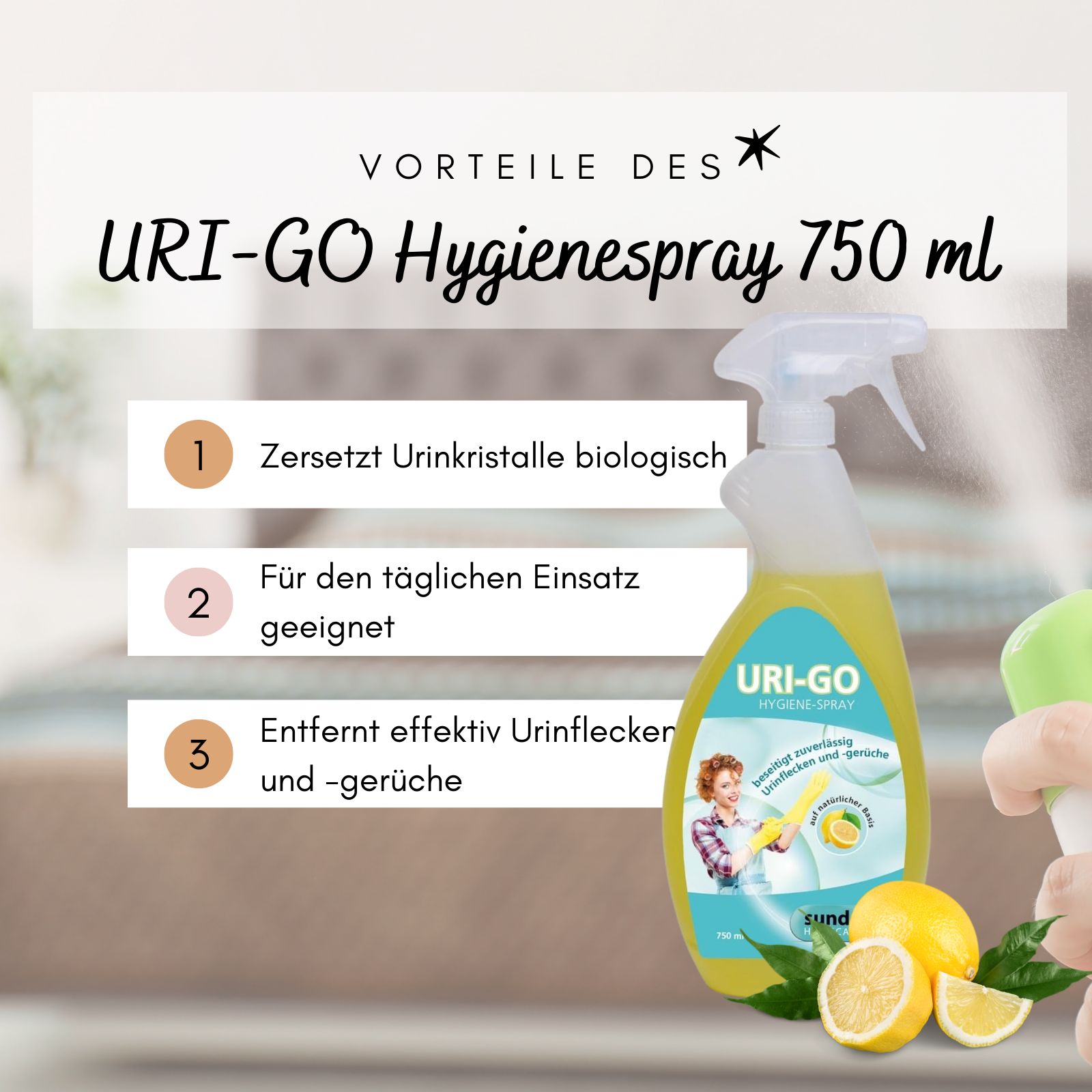 Uri-Go Geruchs- und Fleckenentferner für Urin