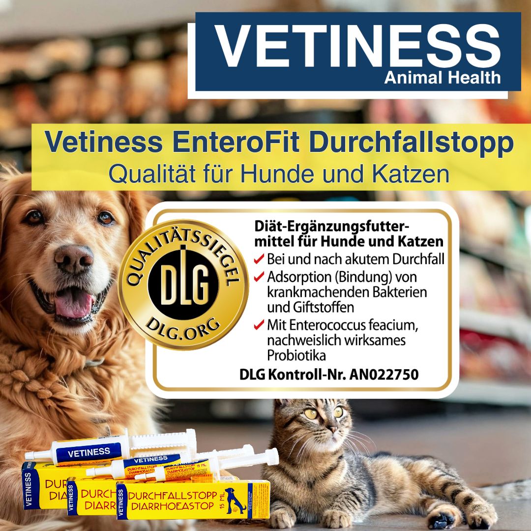 Produktverpackung mit Text: Vetiness, EnteroFit Durchfallstopp, Katze und Hund. DLG-Qualitätssiegel. Gelbe Textfelder.